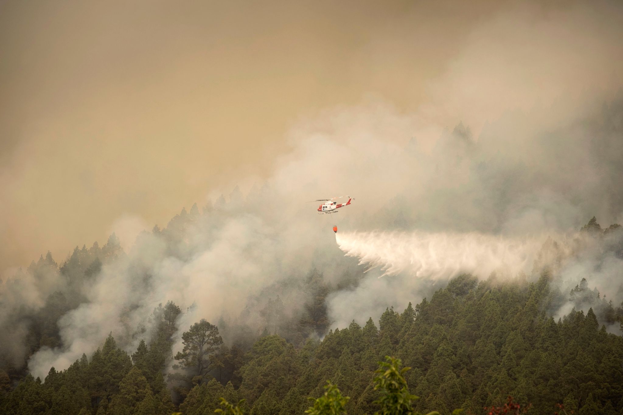 Waldbrand auf Teneriffa zwingt zu weiteren Evakuierungen