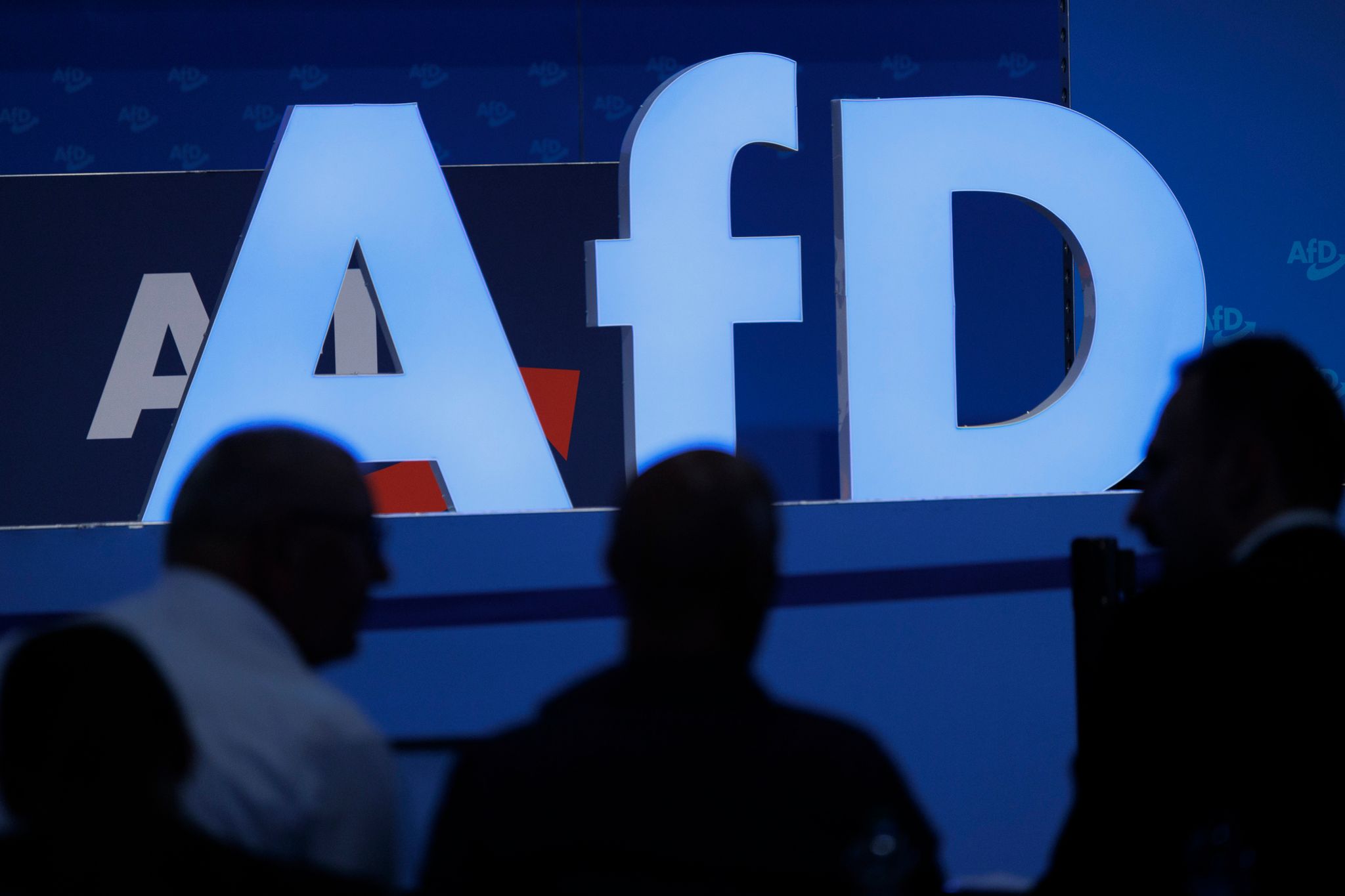 AfD-Bewerber für Europa wollen radikale Abkehr von der EU