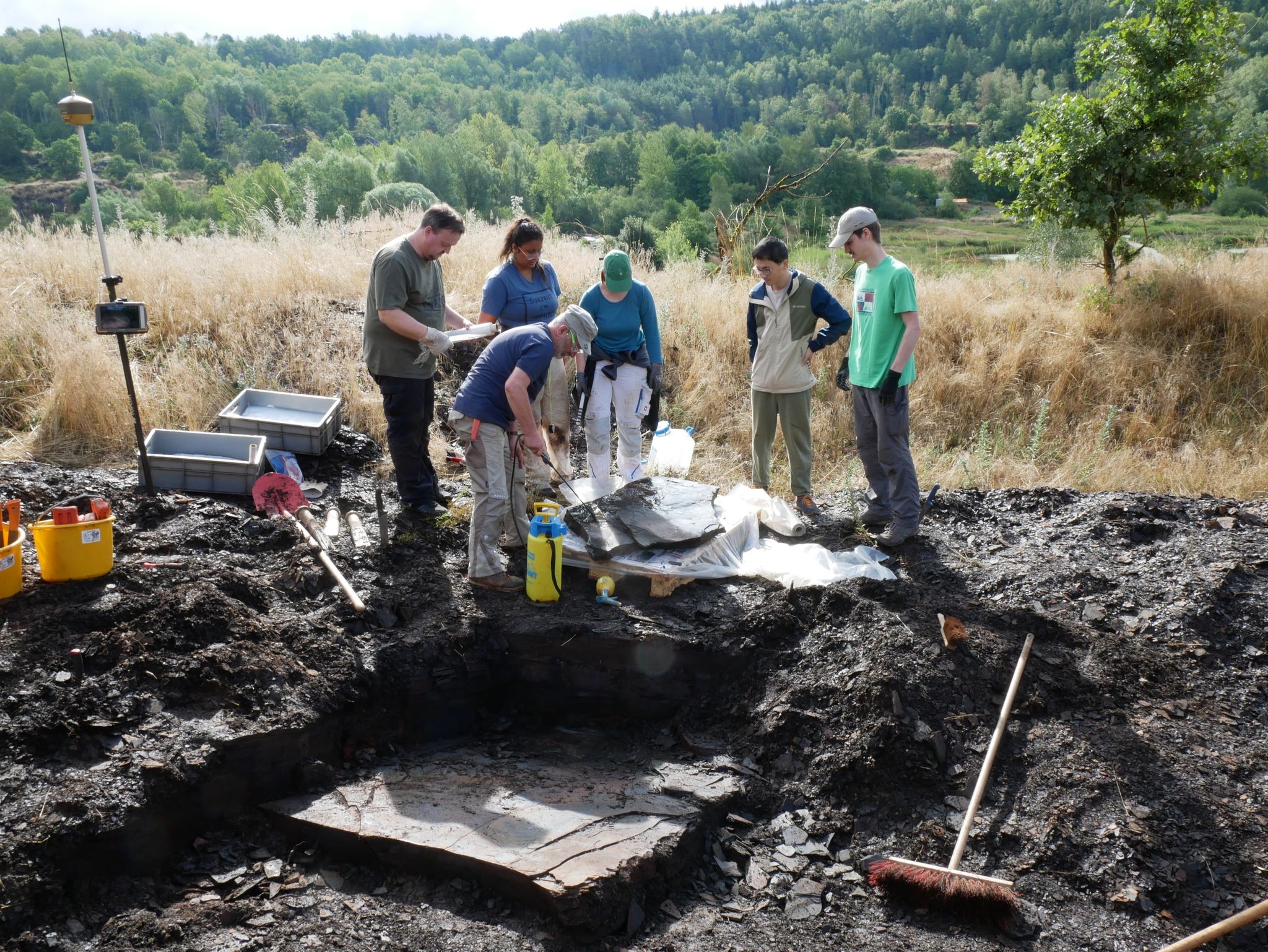 Vermutlich weiteres Urpferd in der Grube Messel entdeckt