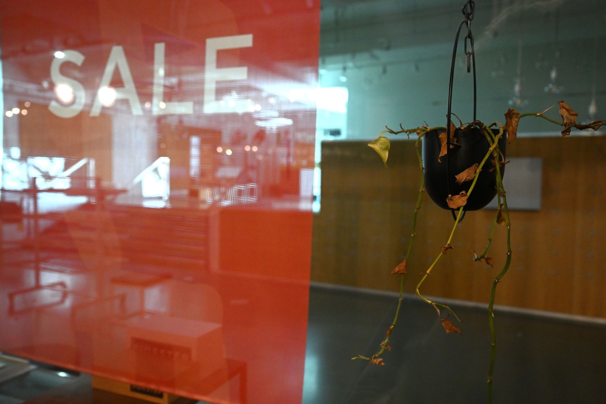 Zahl der Firmeninsolvenzen kräftig gestiegen