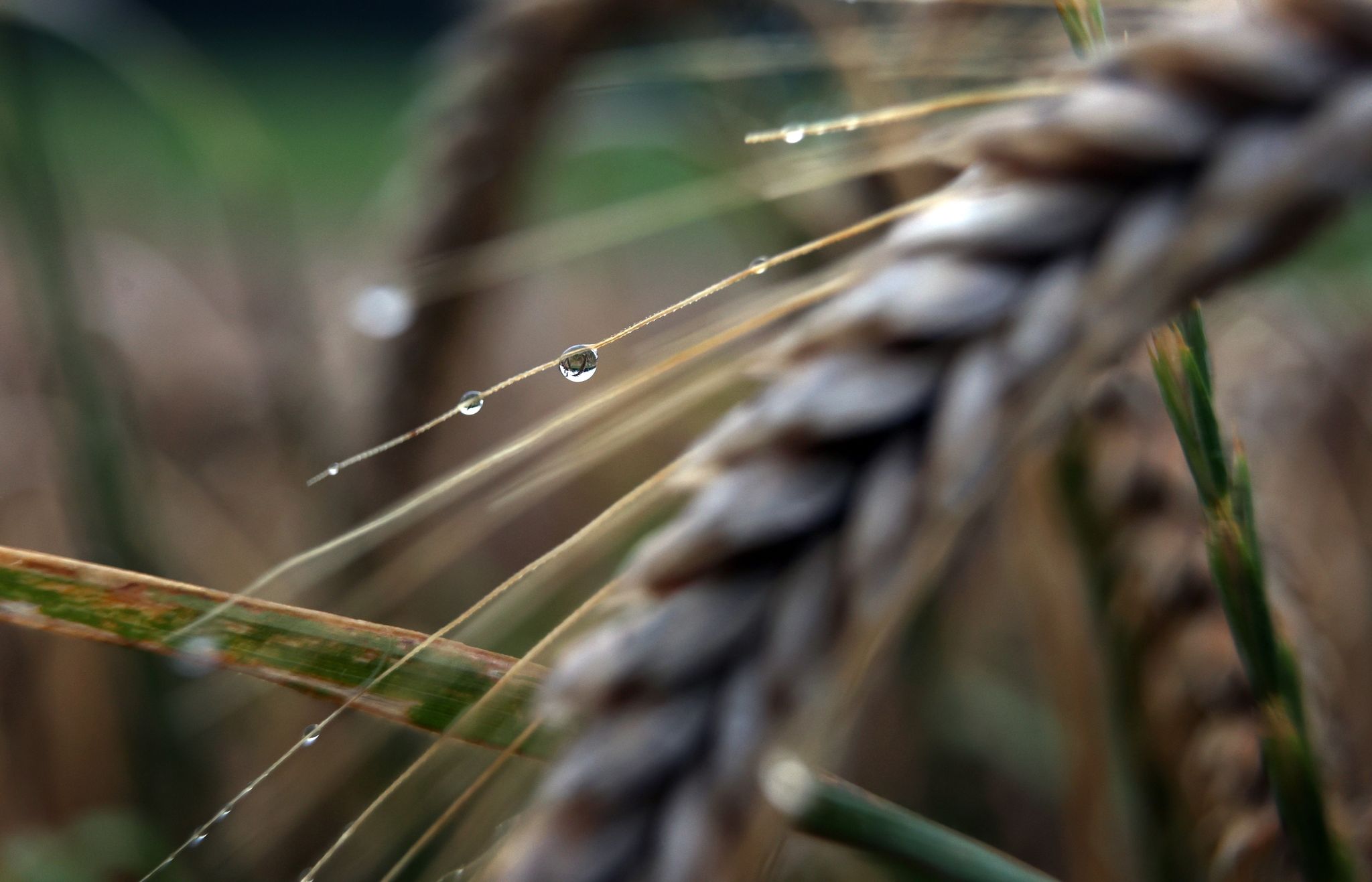 Auf Regentage folgt Badewetter