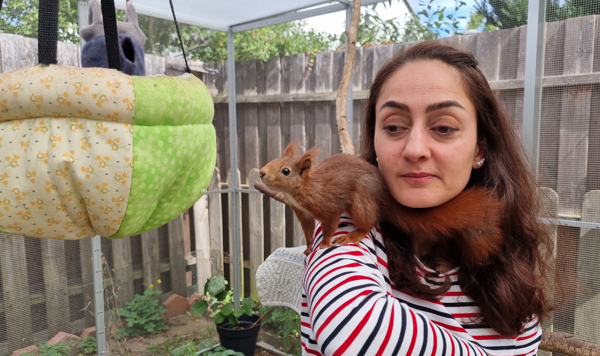 «Schockverliebt» in verwaiste Eichhörnchen