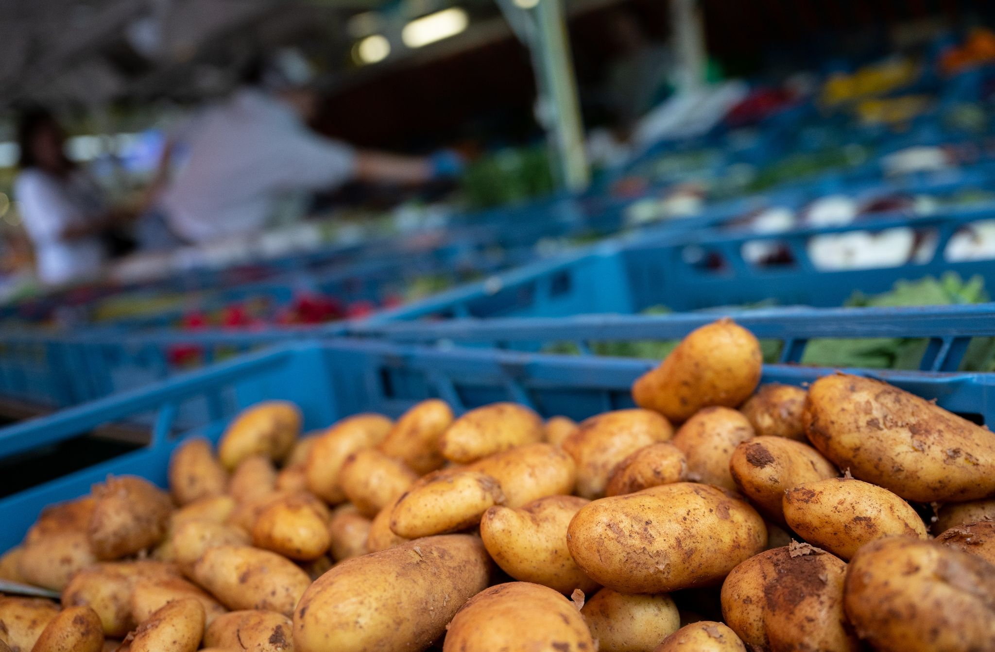 Bürgerrat zur Ernährung: Was bringt das neue Forum?