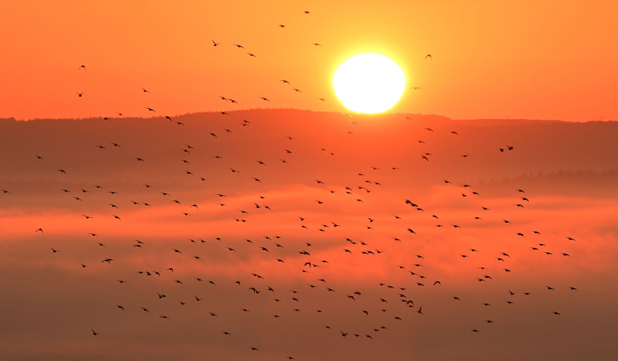 «Unerreichter Wert»: Wärmster September seit Messbeginn 1881