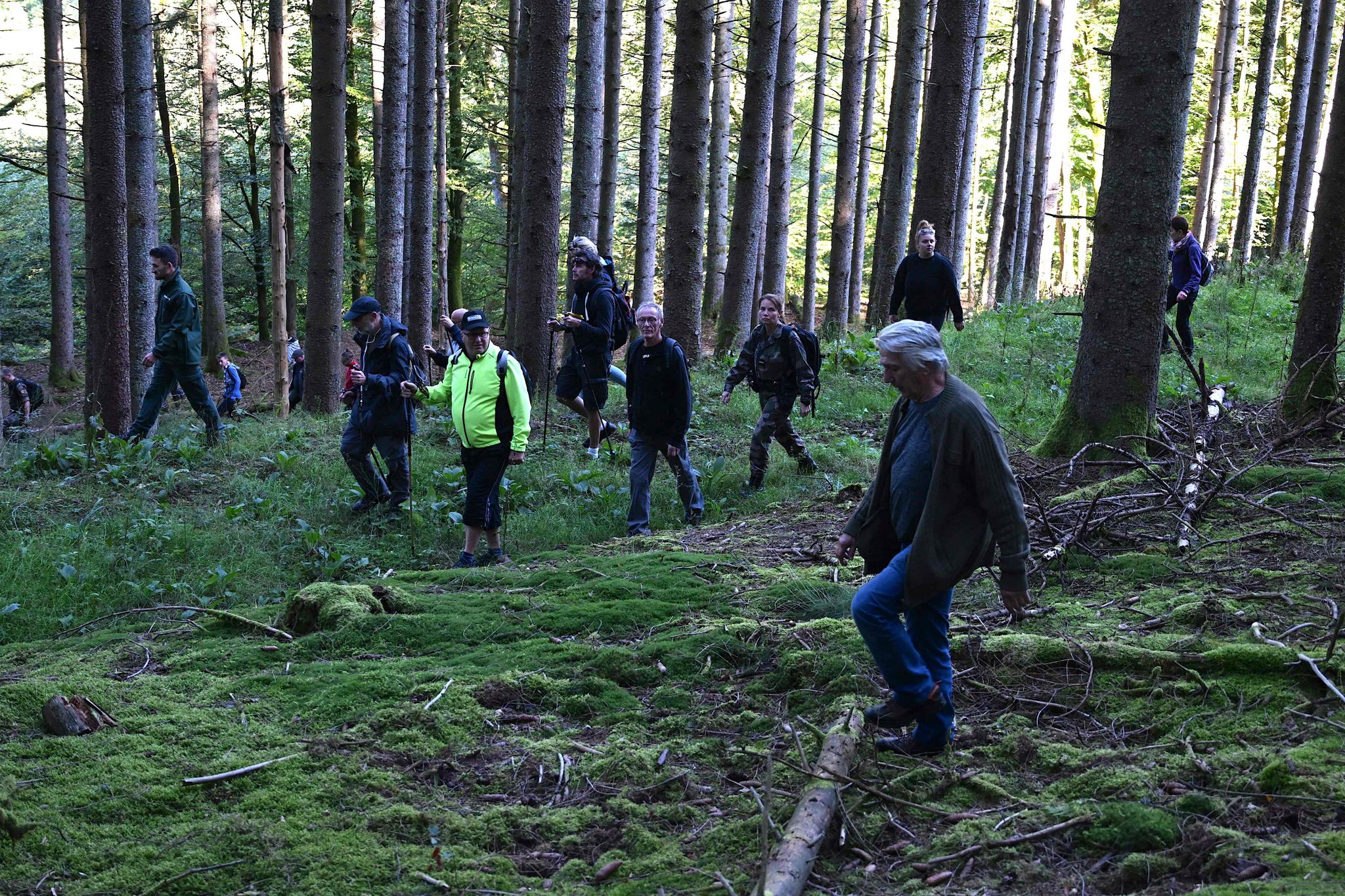 Über 200 Freiwillige suchen vermisste 15-Jährige im Elsass