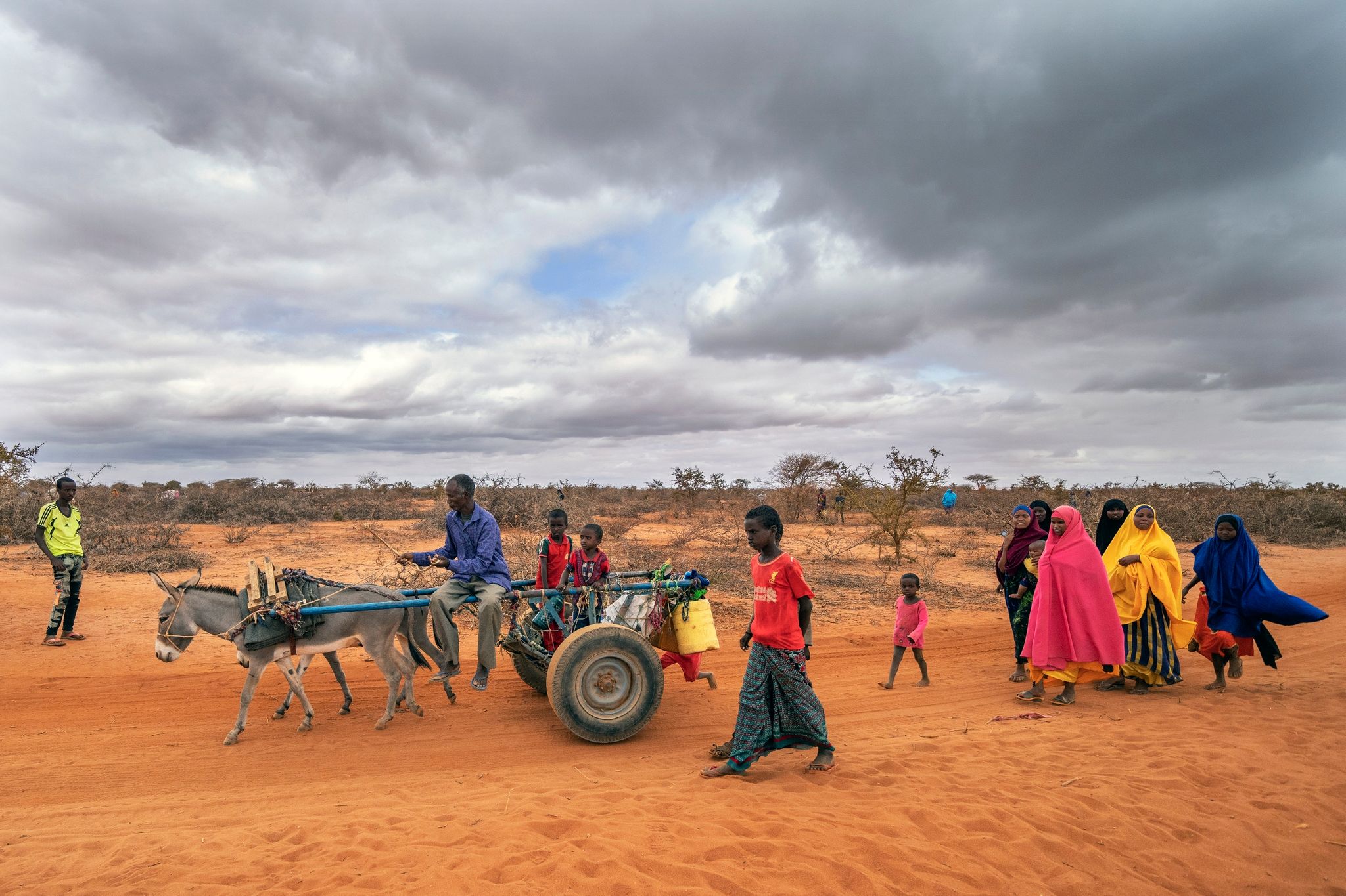 Klimagipfel: Afrika als «Schlüssel» für grüne Weltwirtschaft