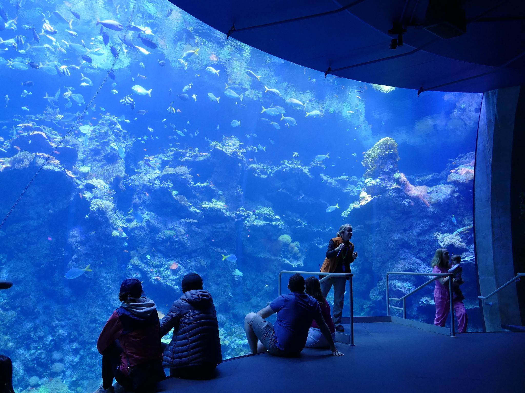 100 Jahre Steinhart Aquarium: Geldspender aus Bayern