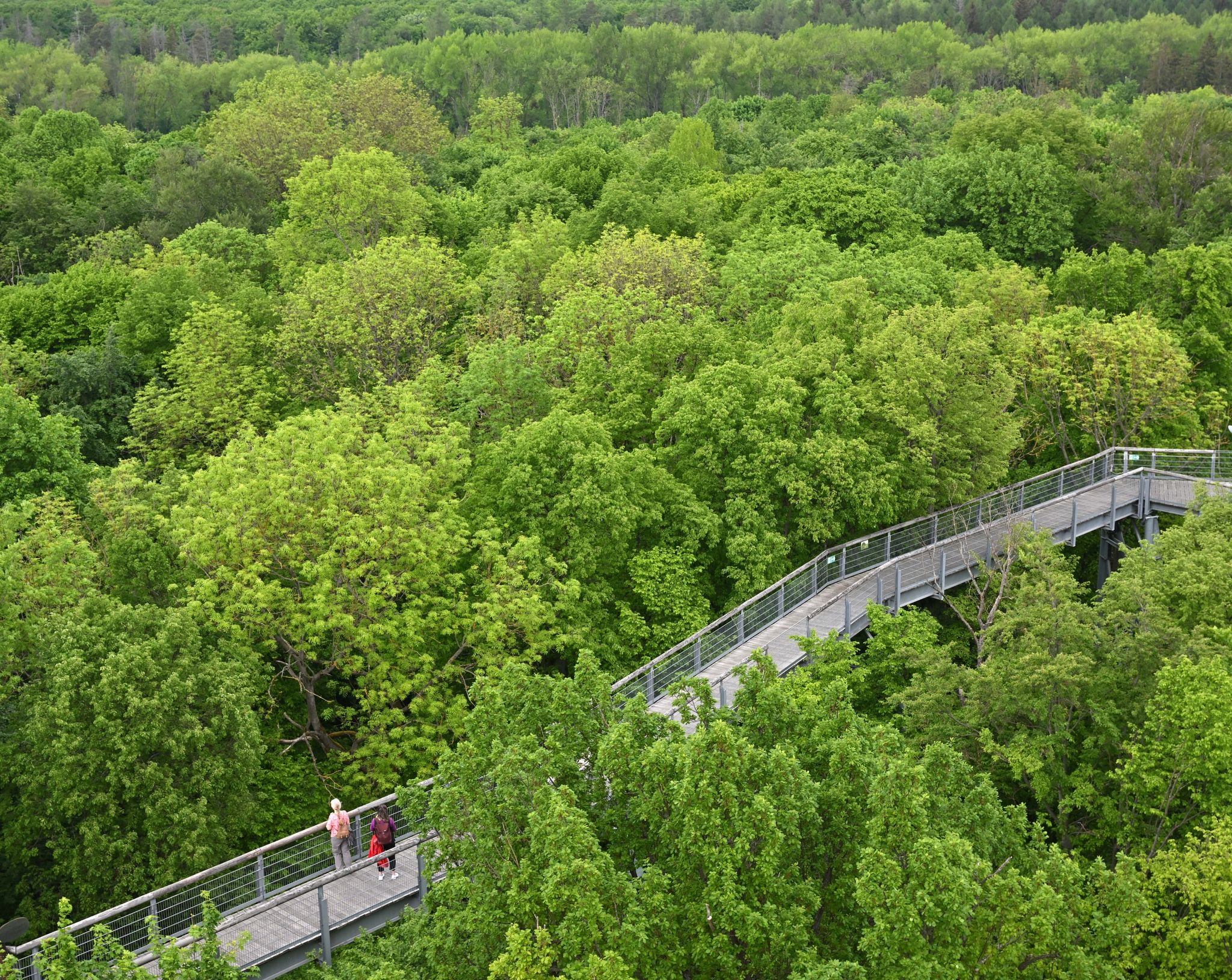 Debatte um deutsche Nationalparks: Mehr Platz für die Natur?