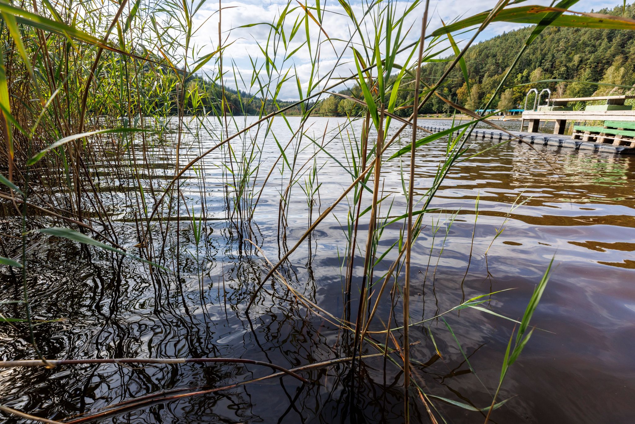Hat ein «Problemhecht» im See drei Menschen gebissen?