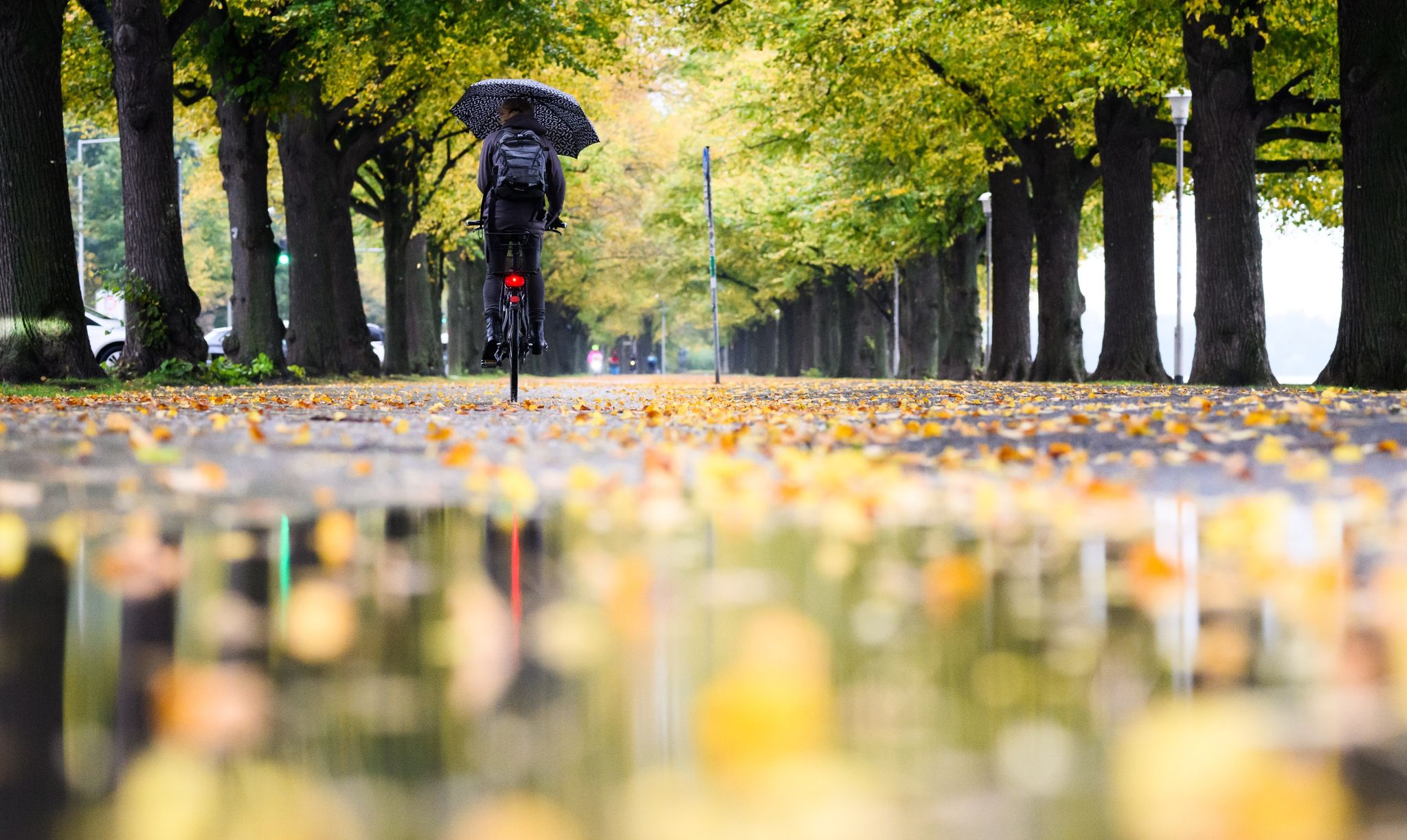 Nach Kälte folgt Regen: Herbstwetter wird ungemütlicher
