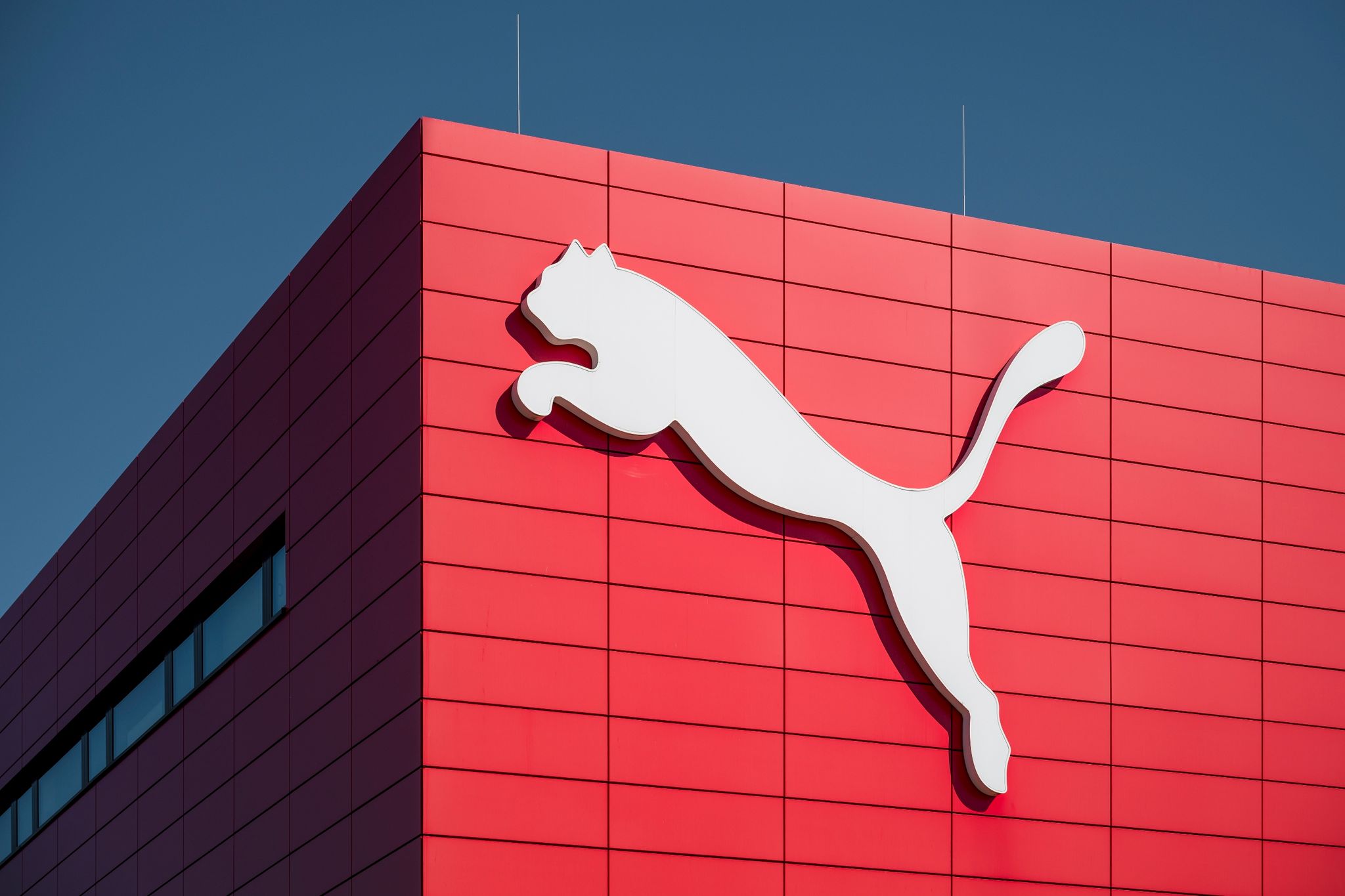 Geburtstag für die Raubkatze – Puma wird 75