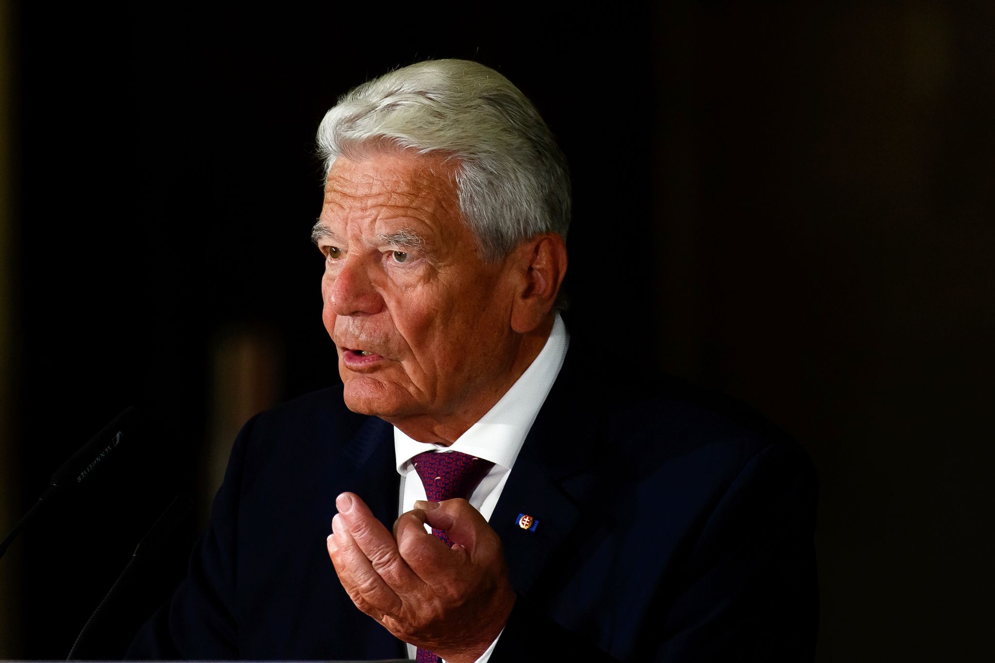 Von CDU bis Linke: Gauck setzt auf Bündnis aller gegen AfD