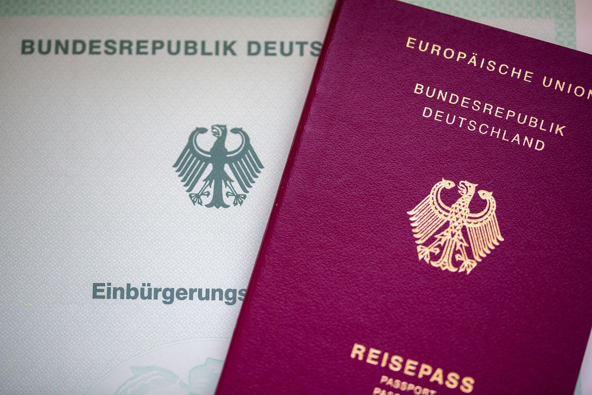 Bundestag debattiert über beschleunigte Einbürgerungen