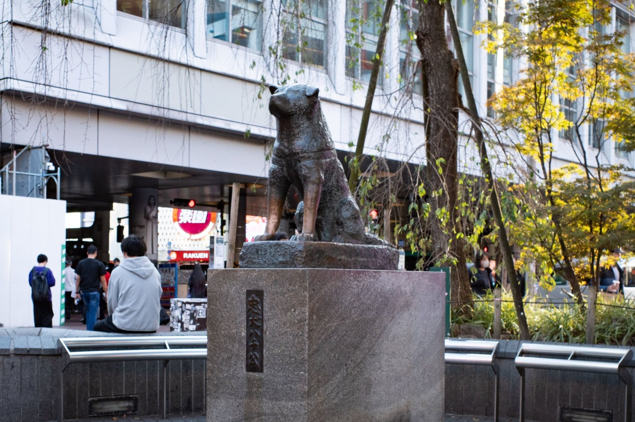 Japans berühmter Hund: Vor 100 Jahren kam Hachiko zur Welt