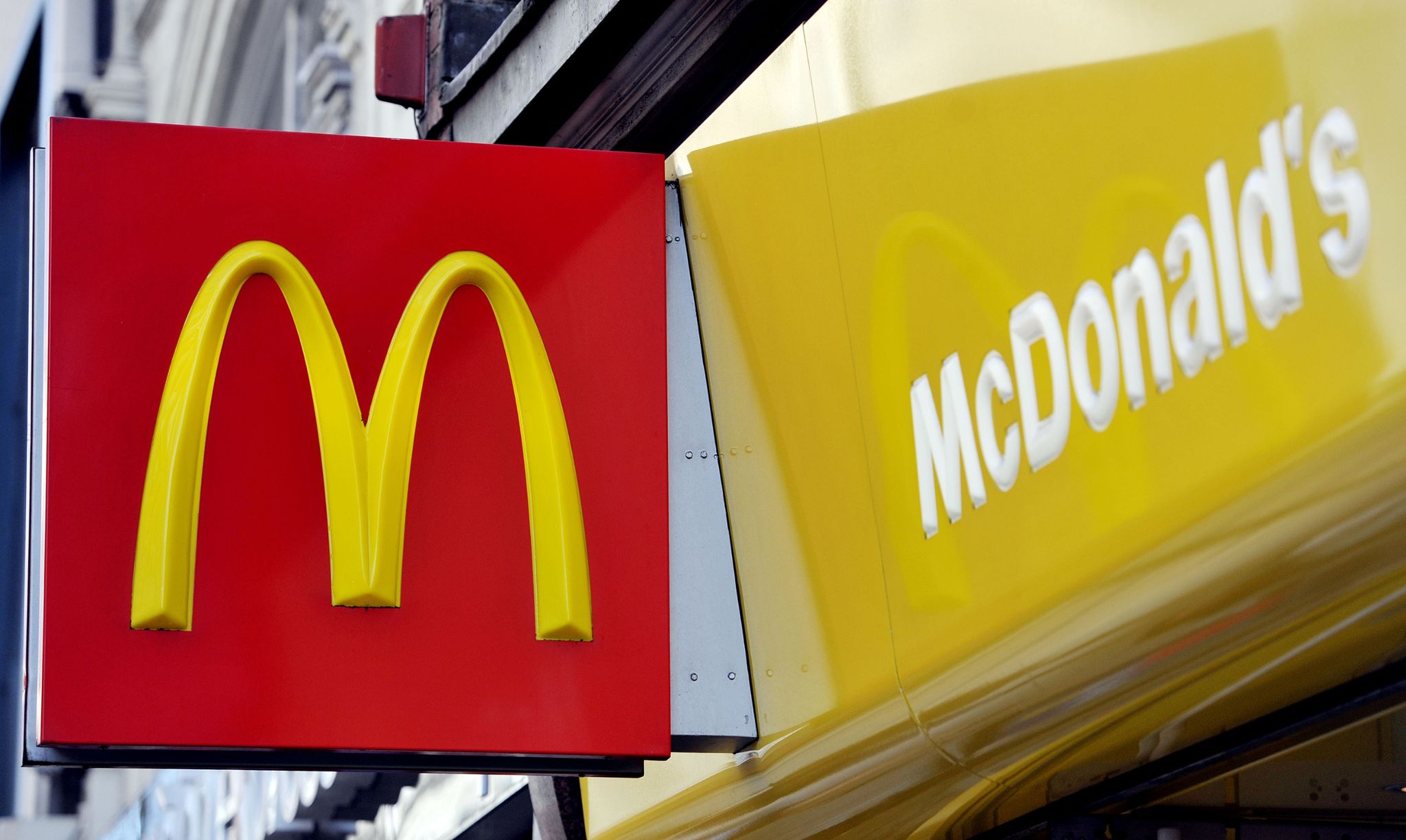 Propalästinensischer Protest: Mäuse in McDonald’s geworfen