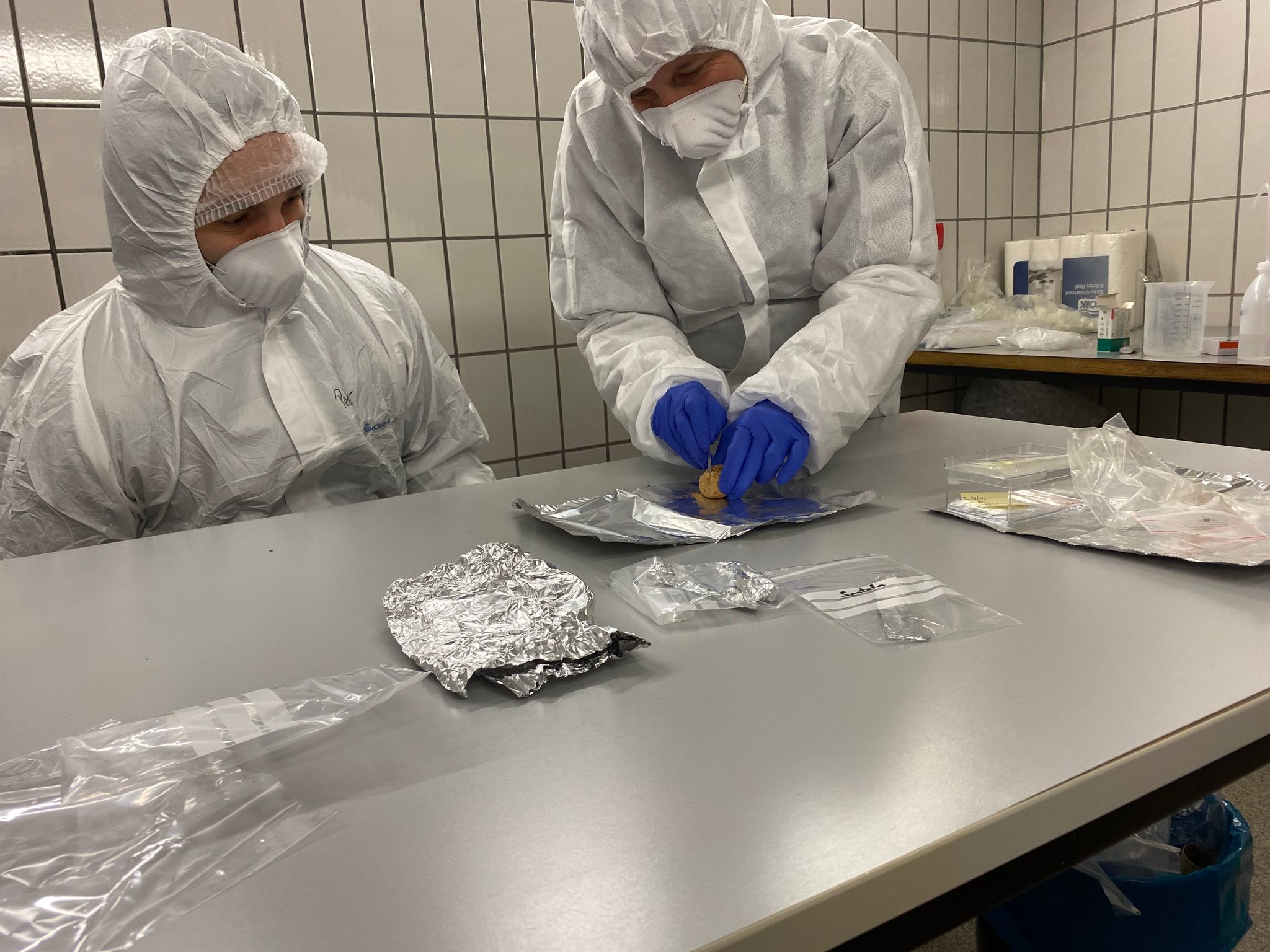 Forscher finden Wollnashorn-DNA in fossilem Hyänen-Kot