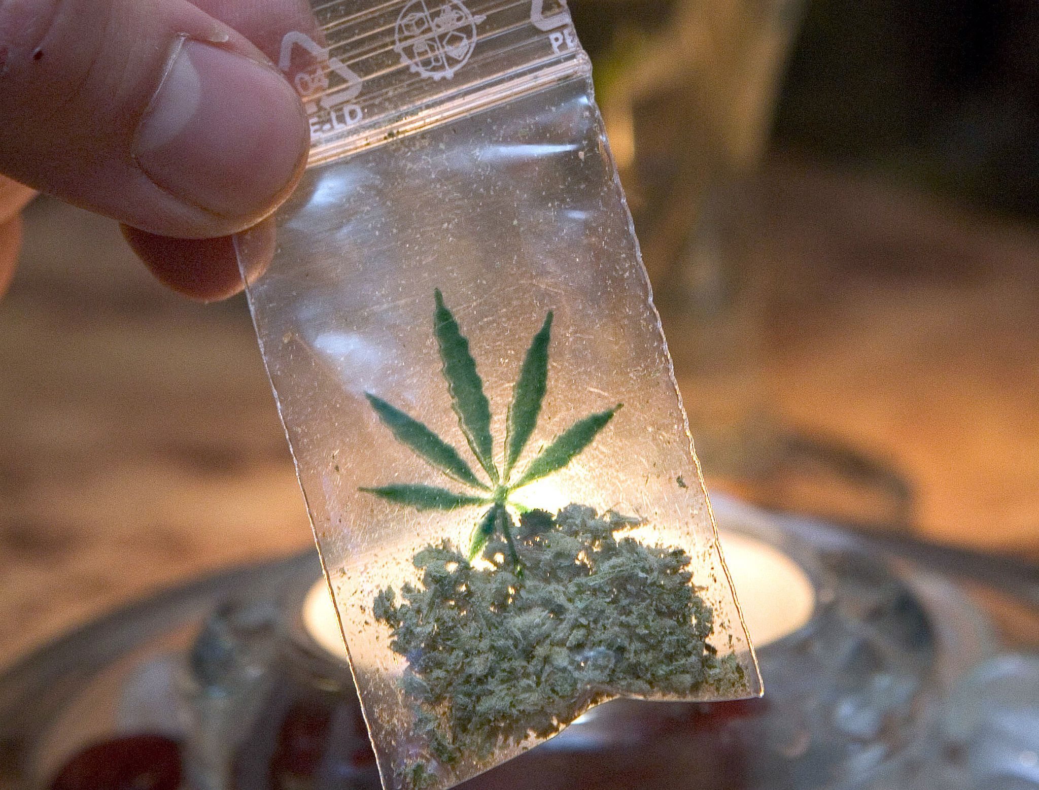 Niederlande testen Verkauf von legal angebautem Marihuana