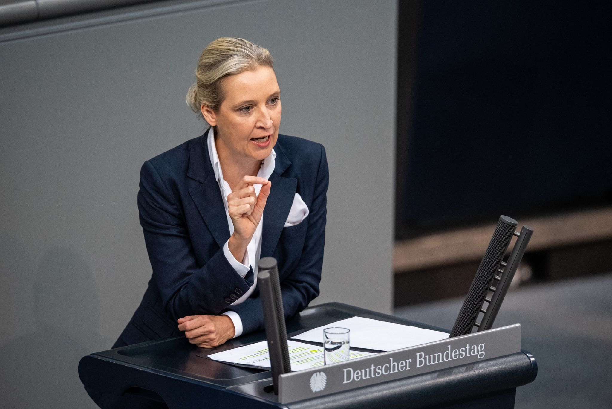 Plagiatsvorwürfe gegen AfD-Chefin Weidel – Universität prüft