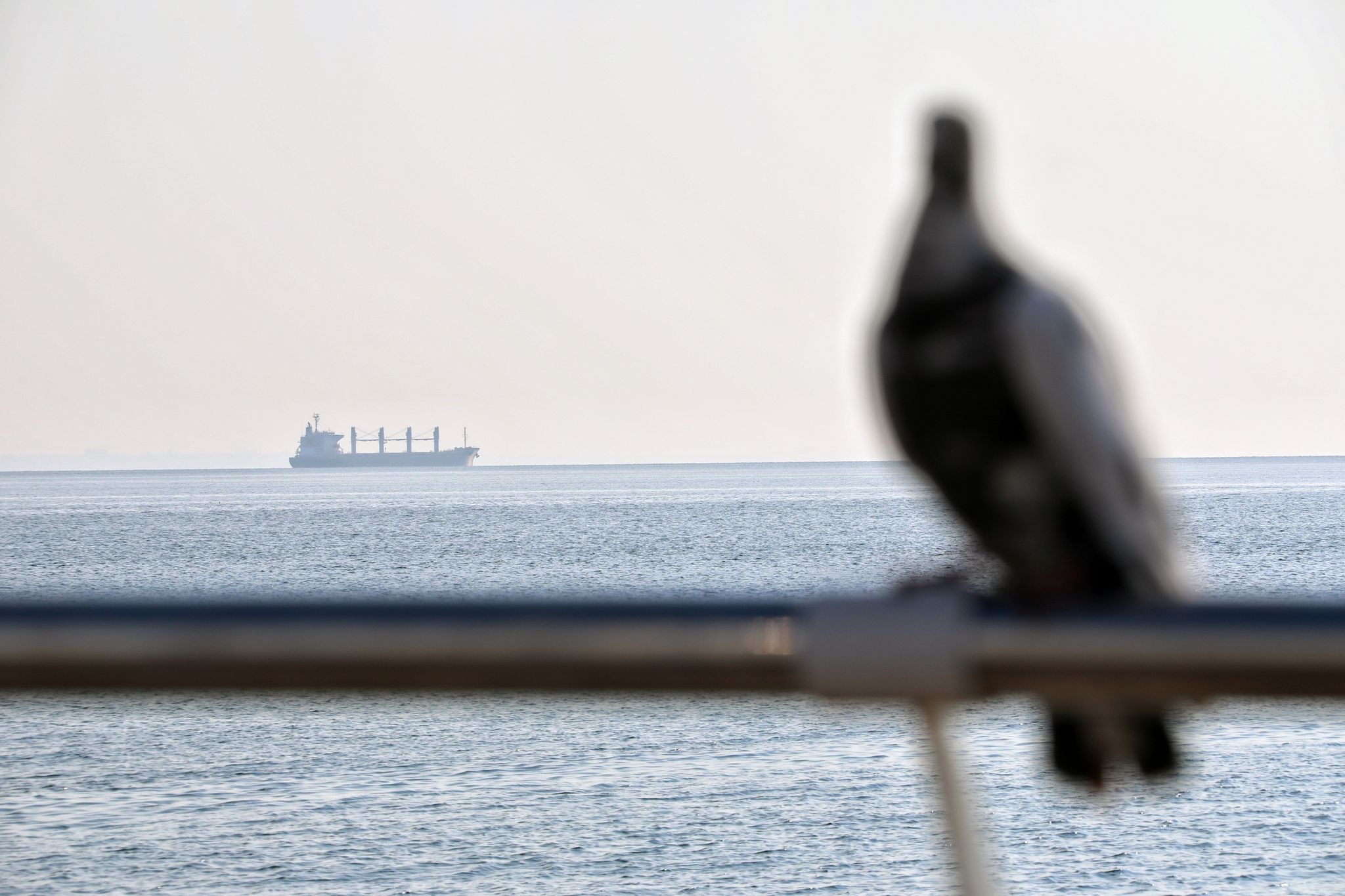 Explosion an Frachter im Schwarzen Meer – Seemine vermutet