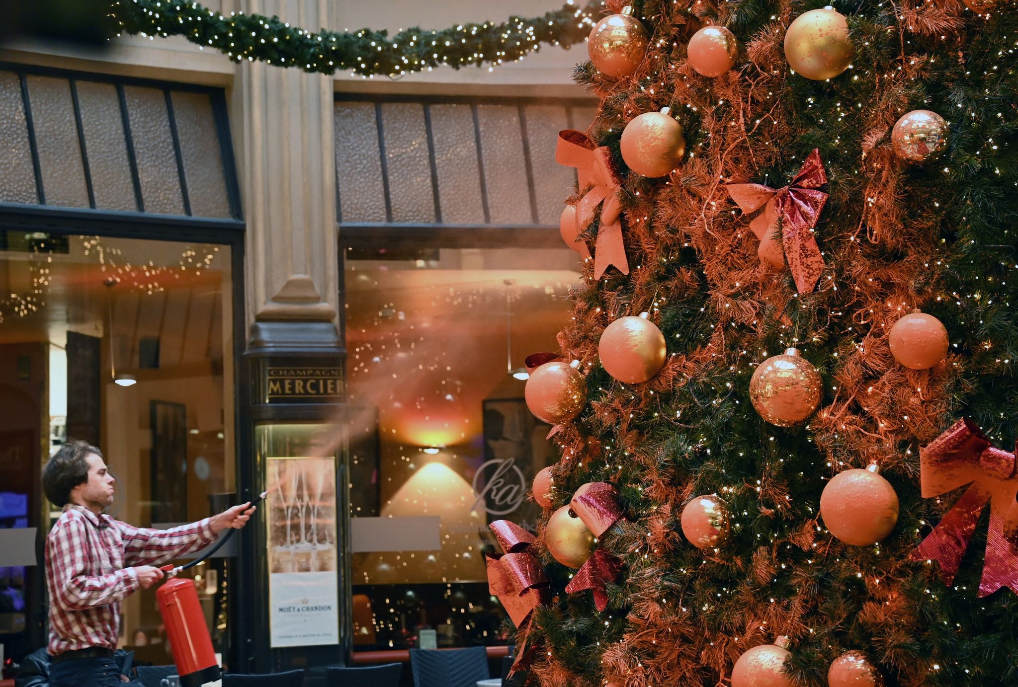 Klimaschützer besprühen Weihnachtsbäume mit oranger Farbe