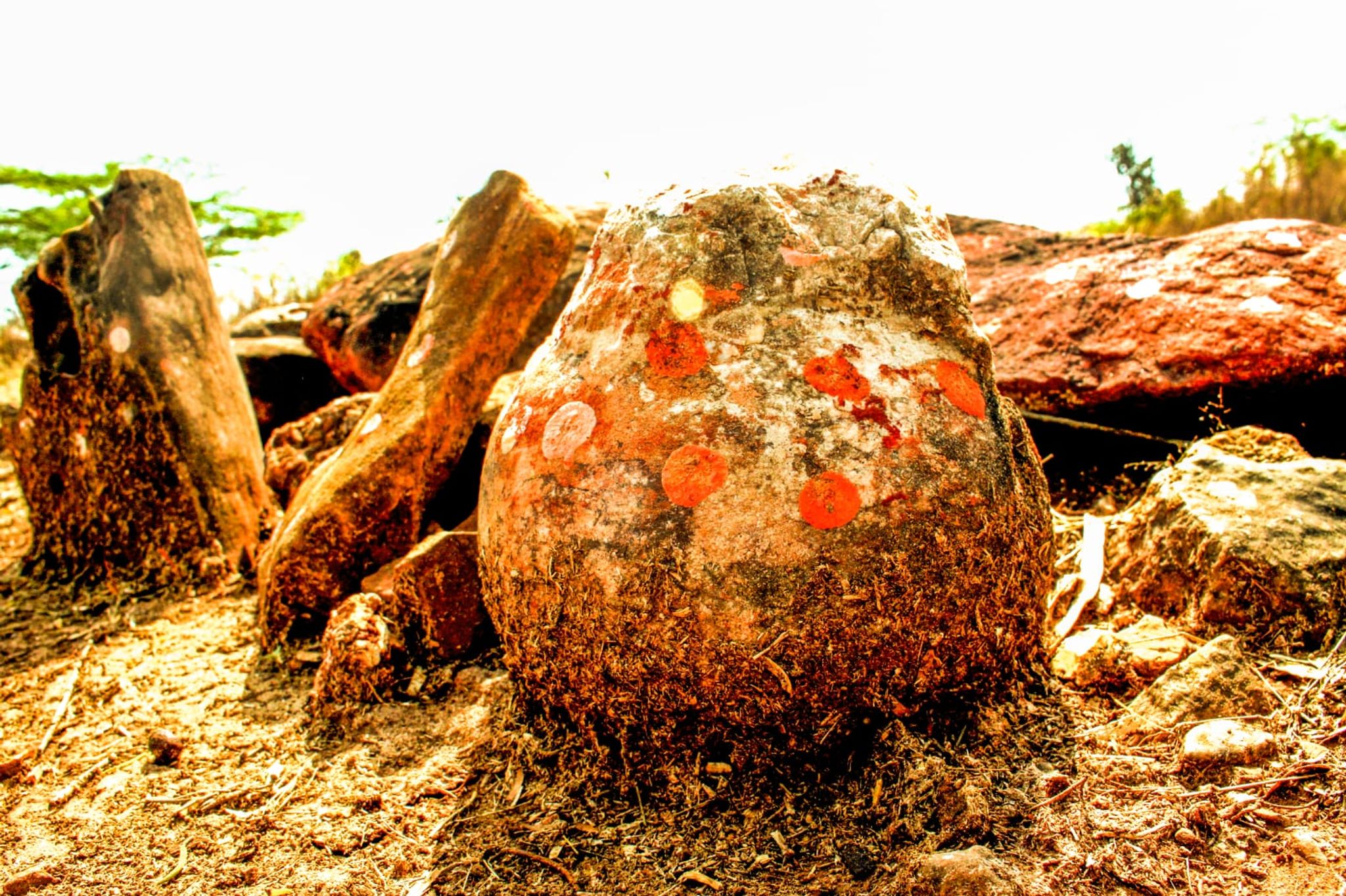 Indien: Göttlich verehrter Stein entpuppt sich als Dino-Ei
