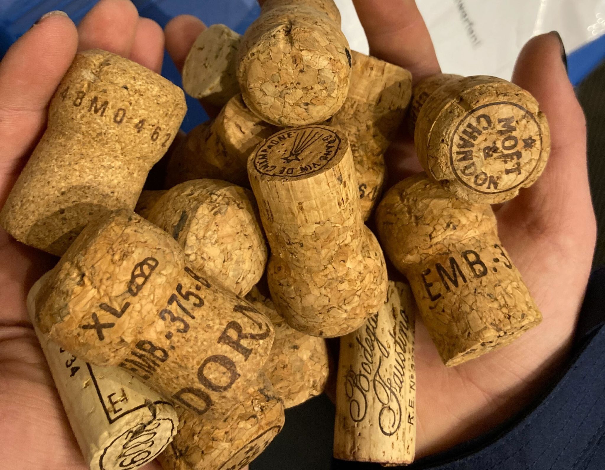 Naturschutz: Nabu zieht Bilanz zur Korkkampagne