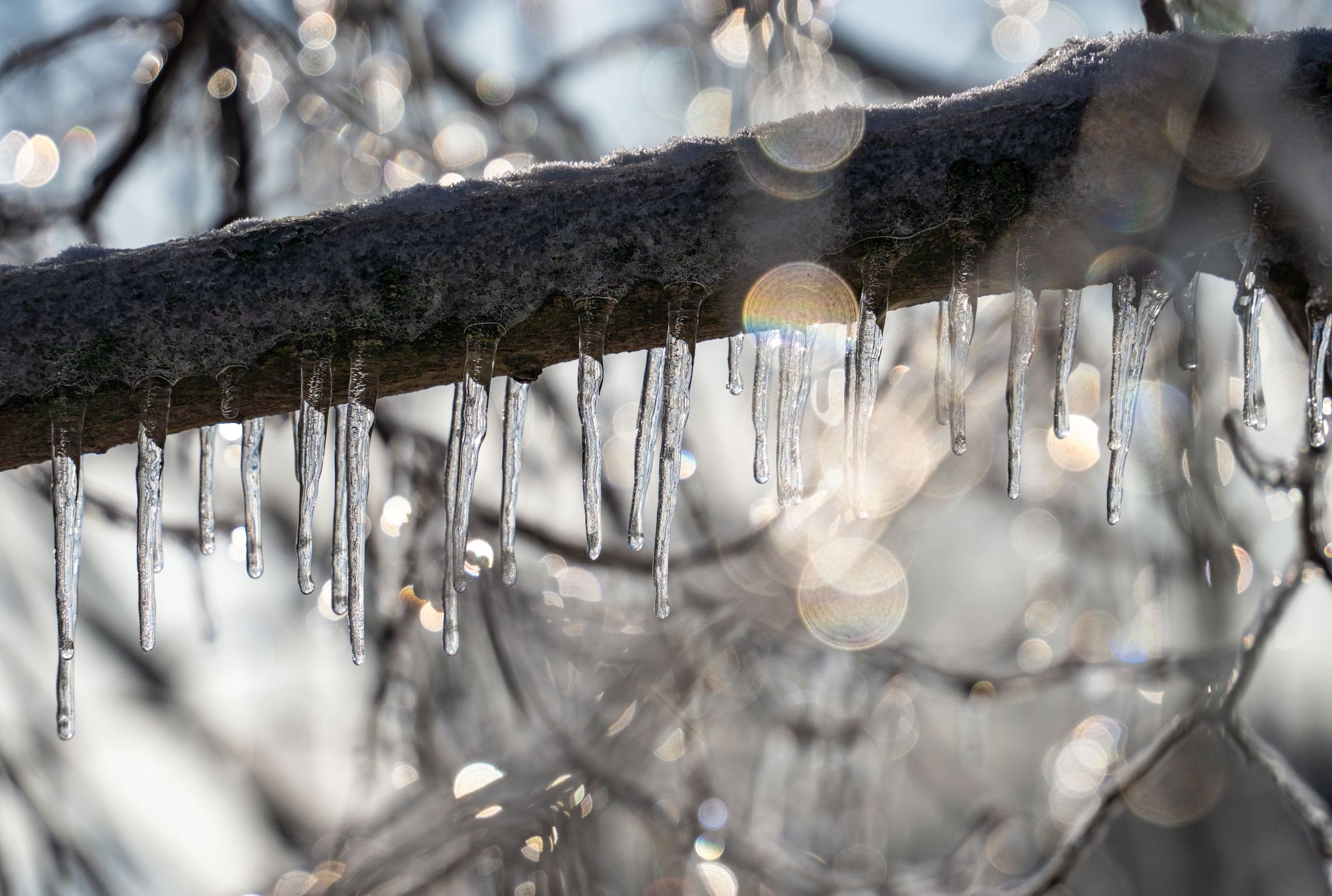 Stürmisches Tauwetter zum Wochenstart