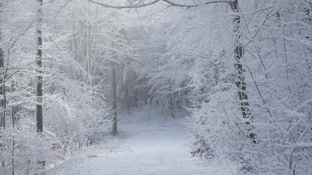 Schneezauber: Was gehört beim Winterwandern in den Rucksack?