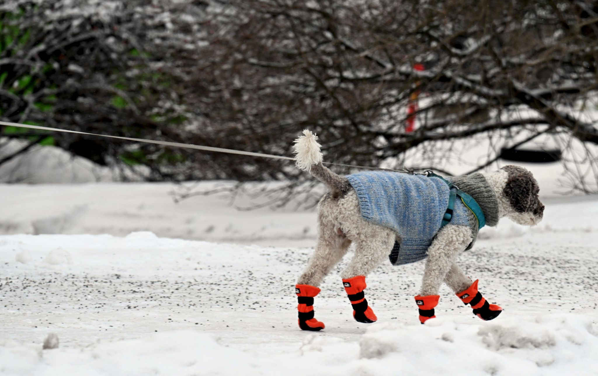 Minus 40 Grad – Europas hoher Norden bibbert