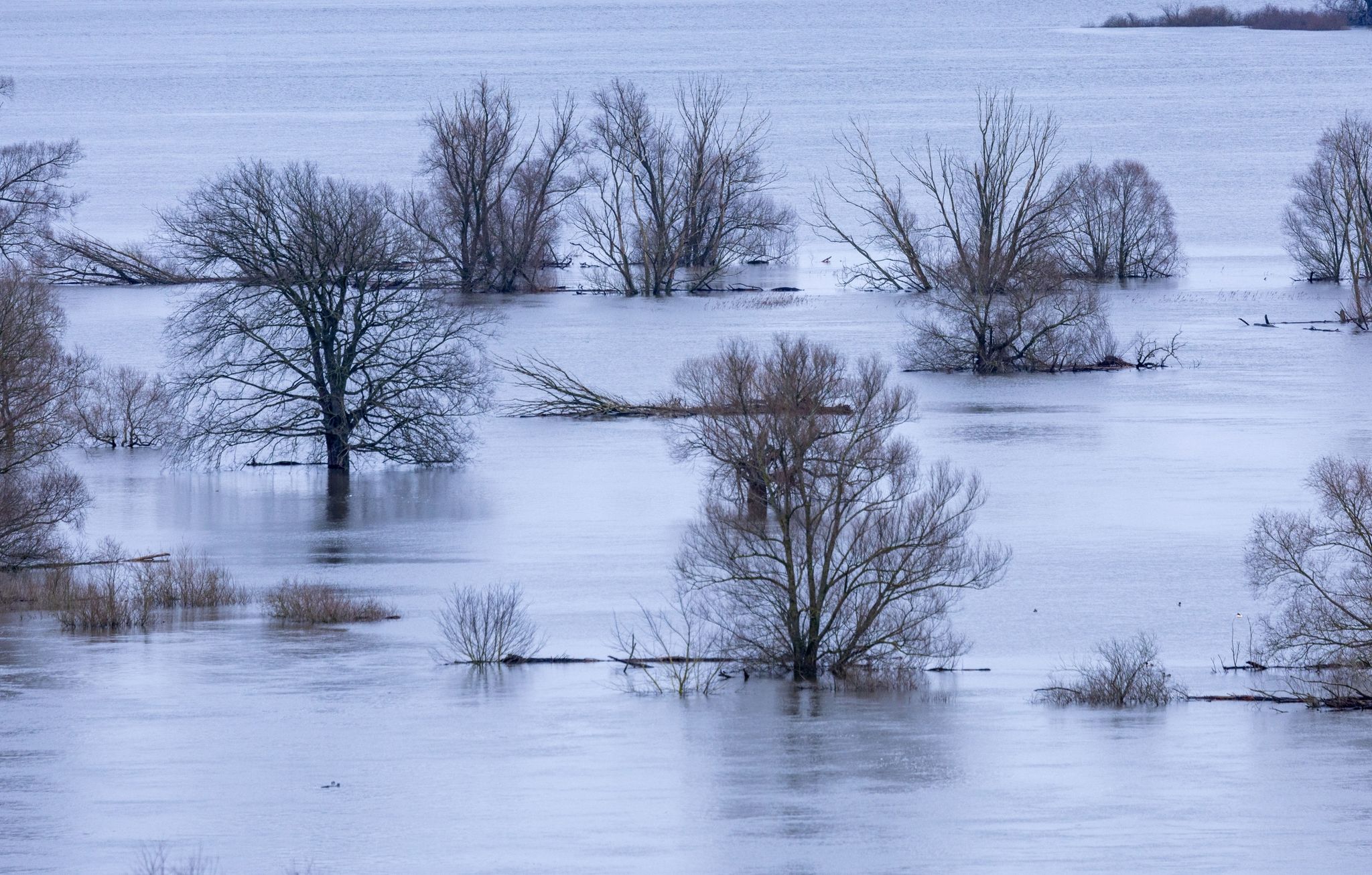 Wie lange denn noch? Land unter auf vielen Flächen