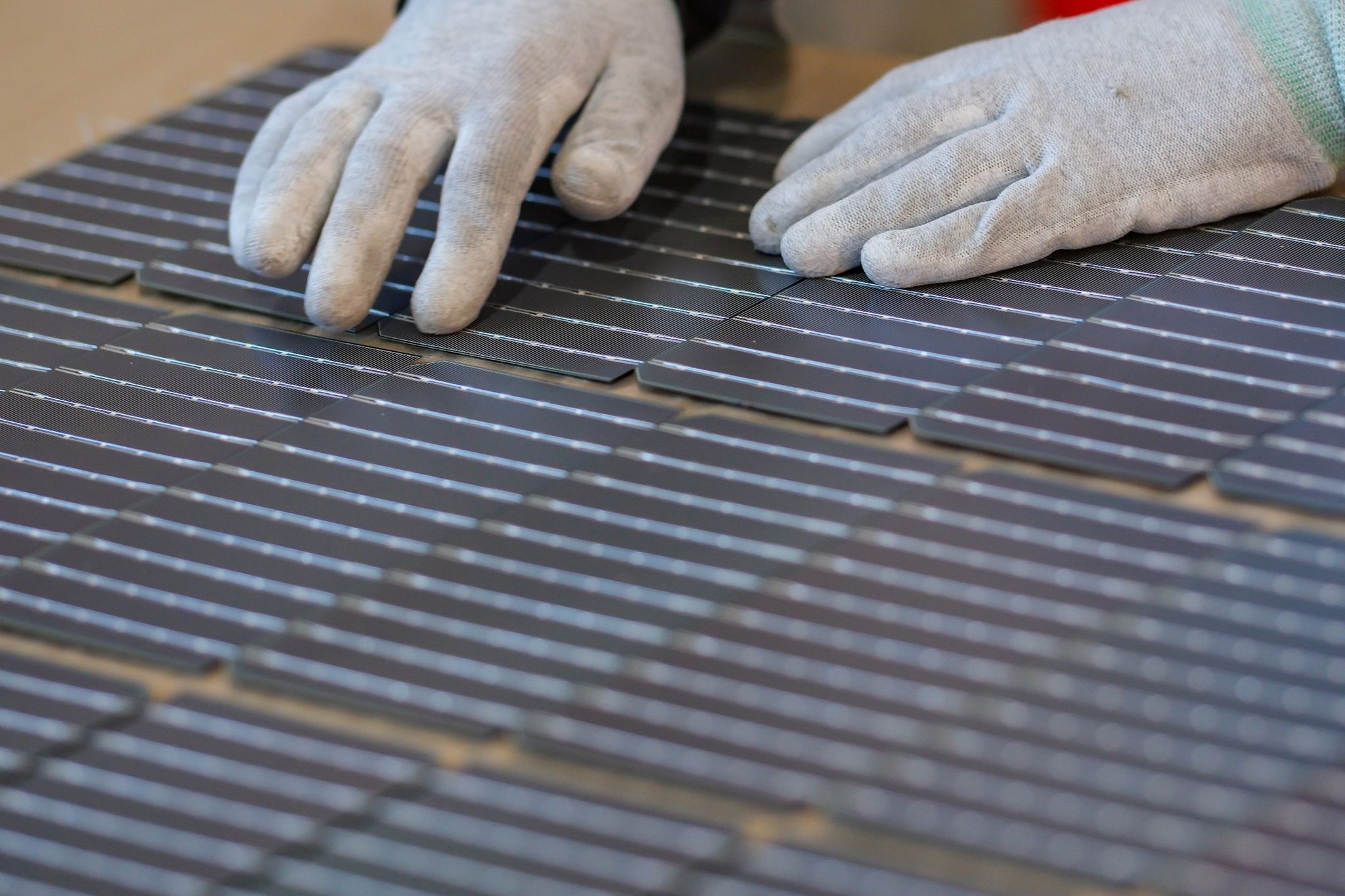 IWH lehnt Subventionen für Solarbranche ab