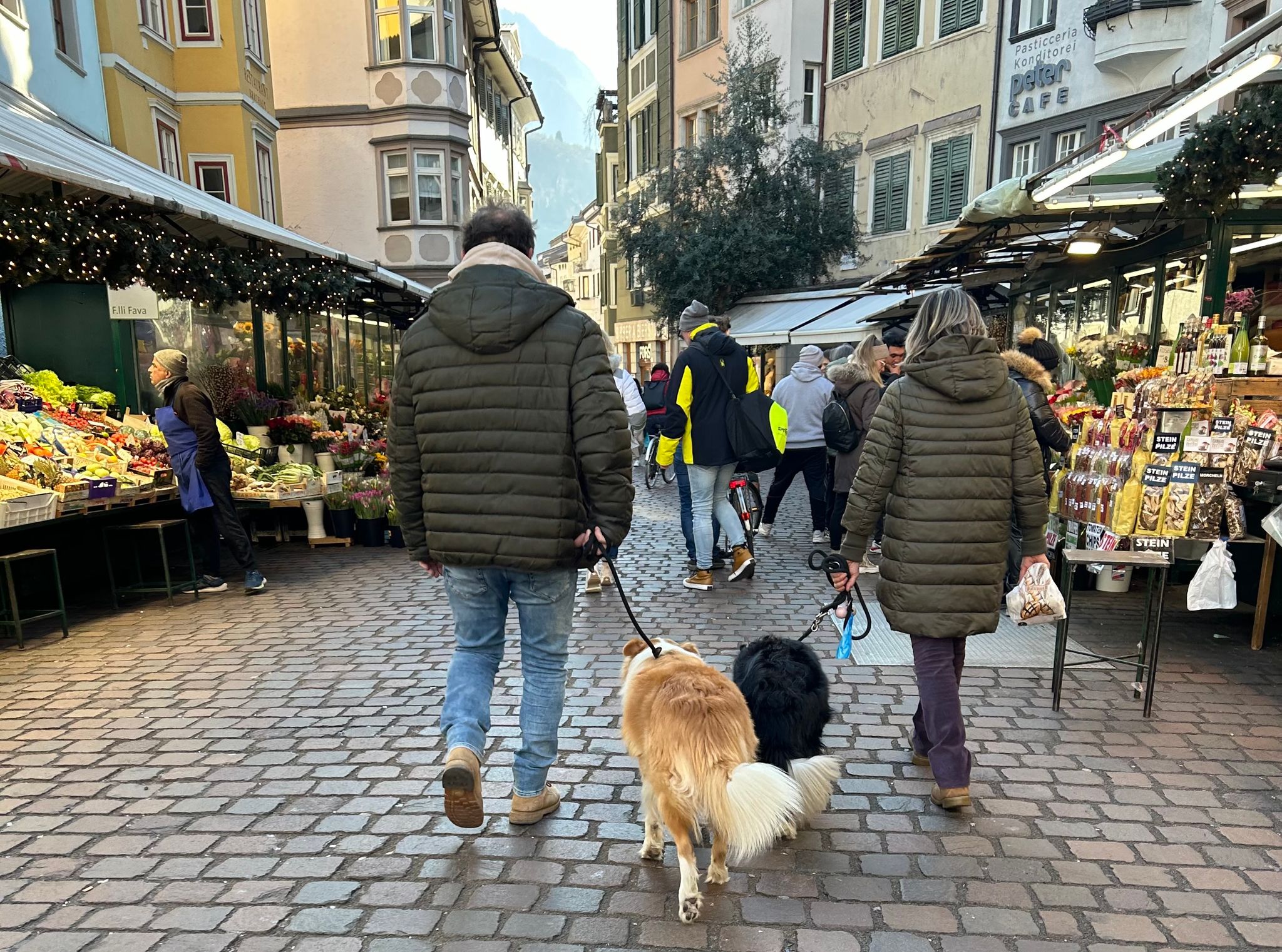 Kampf den Häufchen: Südtirol startet Gendatenbank für Hunde