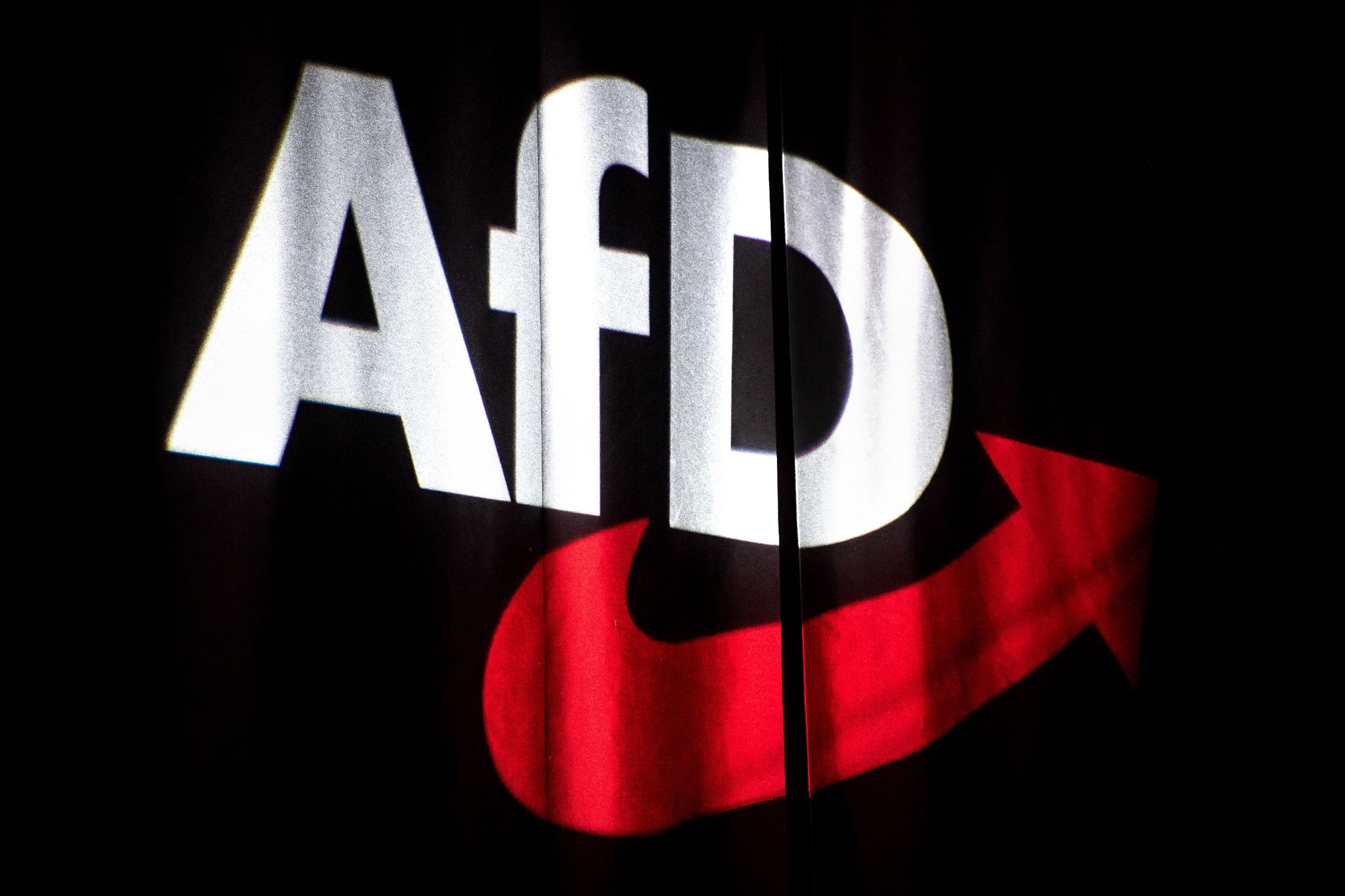 AfD-Partner in Frankreich kritisieren Rechtsradikalen-Treffen in Potsdam