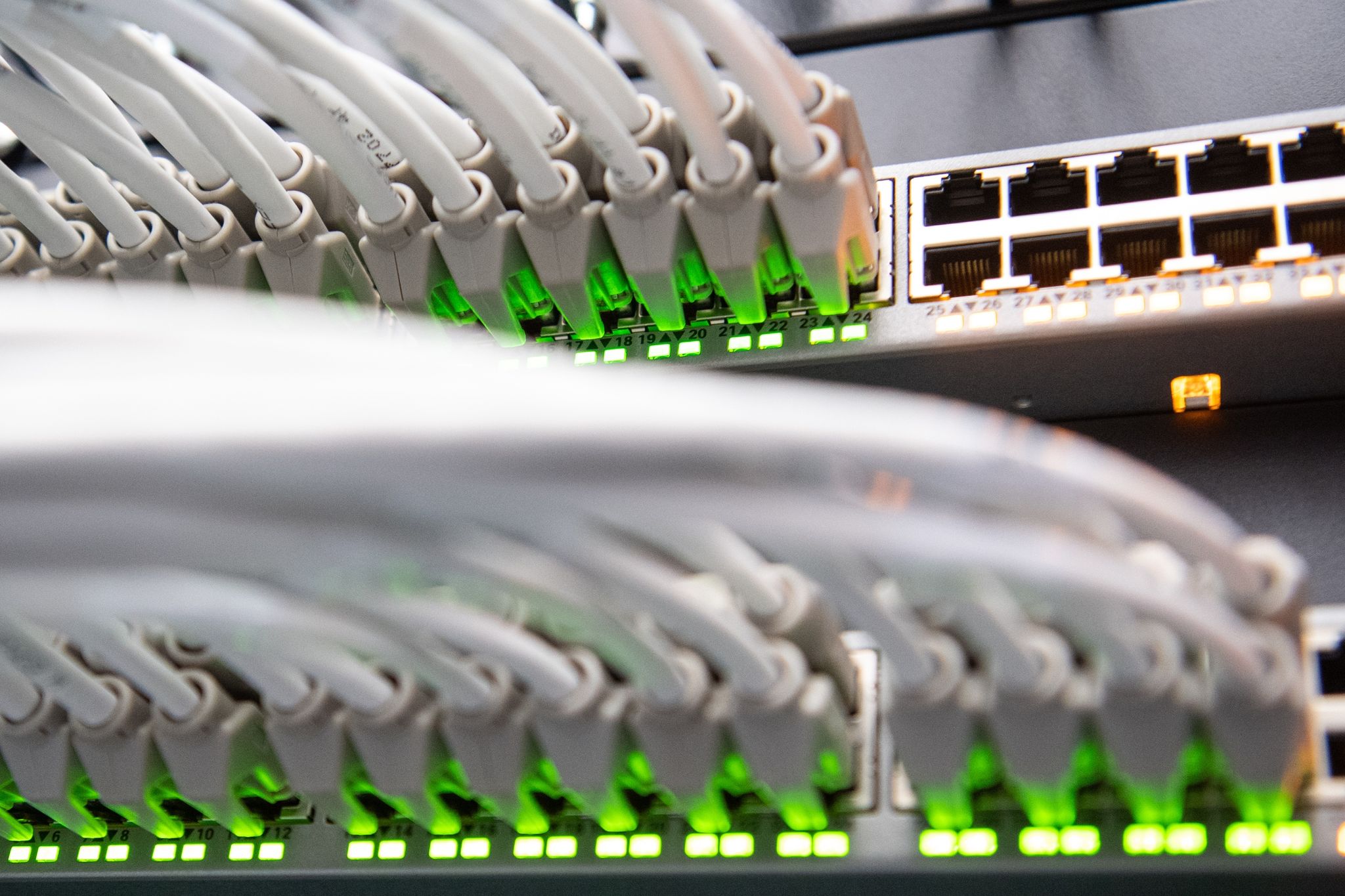 Interpol warnt vor neuen Kriminalitätsformen online