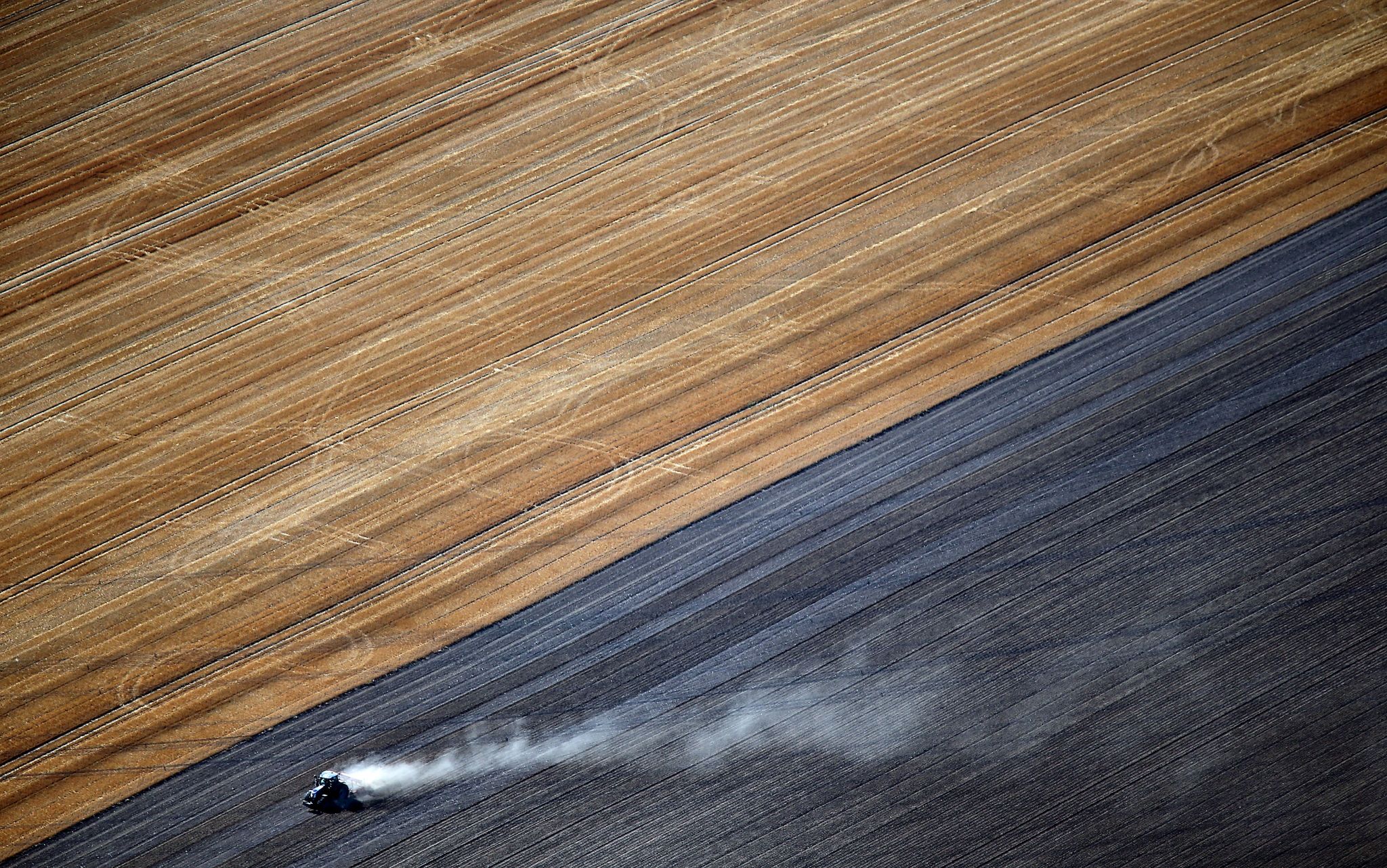 Studie: 2040 nur 100.000 Bauernhöfe