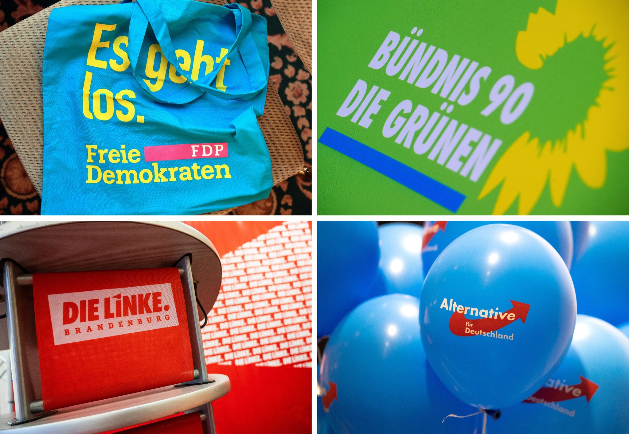 Parteien verzeichnen Mitgliederzuwachs nach Enthüllungen über Treffen rechtsradikaler Aktivisten