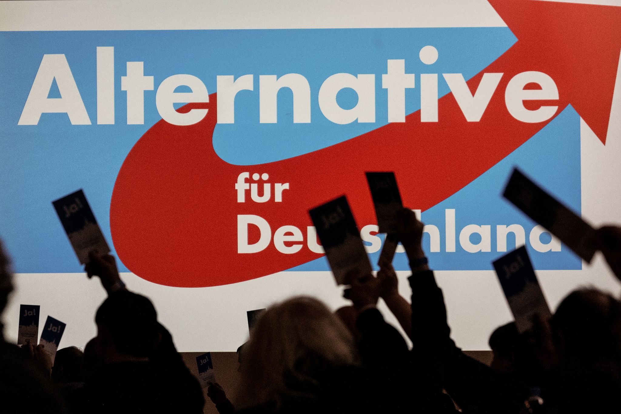 AfD verzeichnet unter dem Strich weiter Mitgliederzuwachs