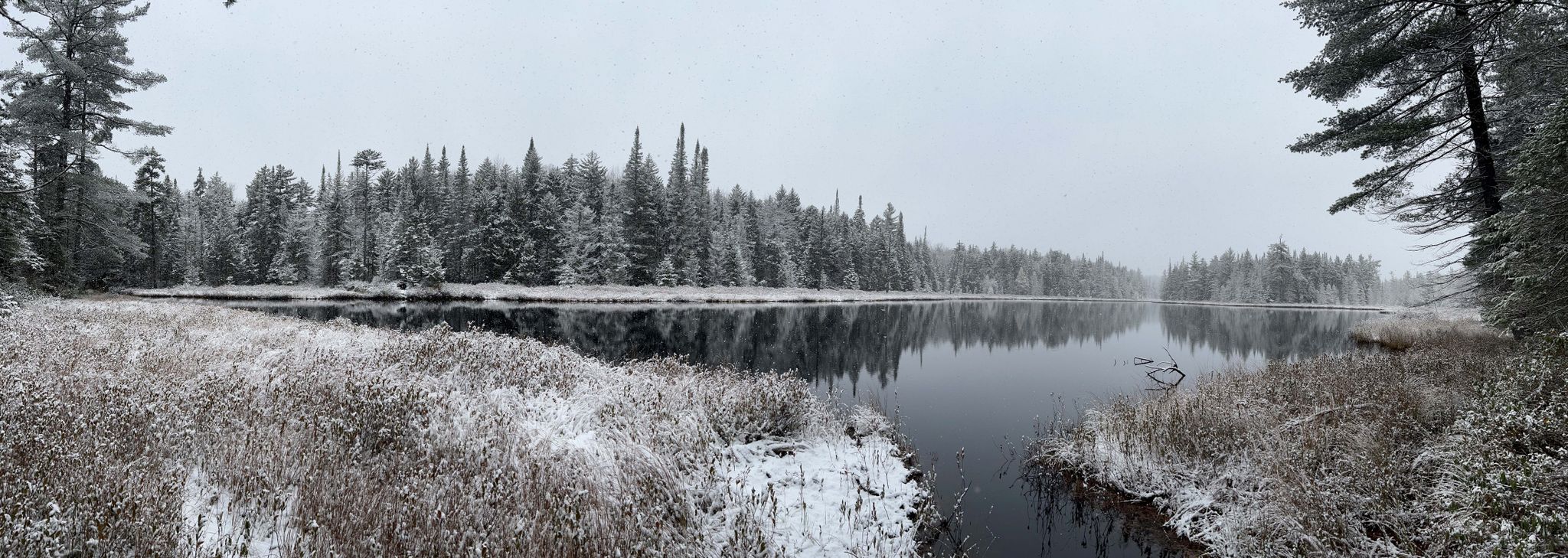Wasser in Seen wird brauner – Kaltwasserfische leiden