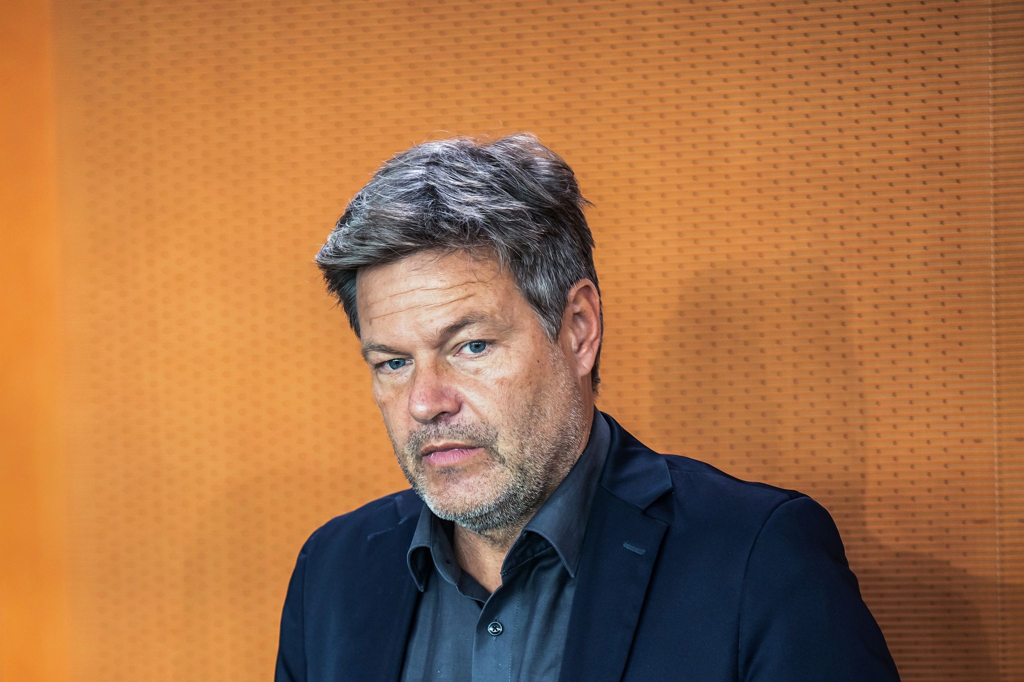 Habeck: AfD geht es um «Angriff auf das Wesen der Republik»