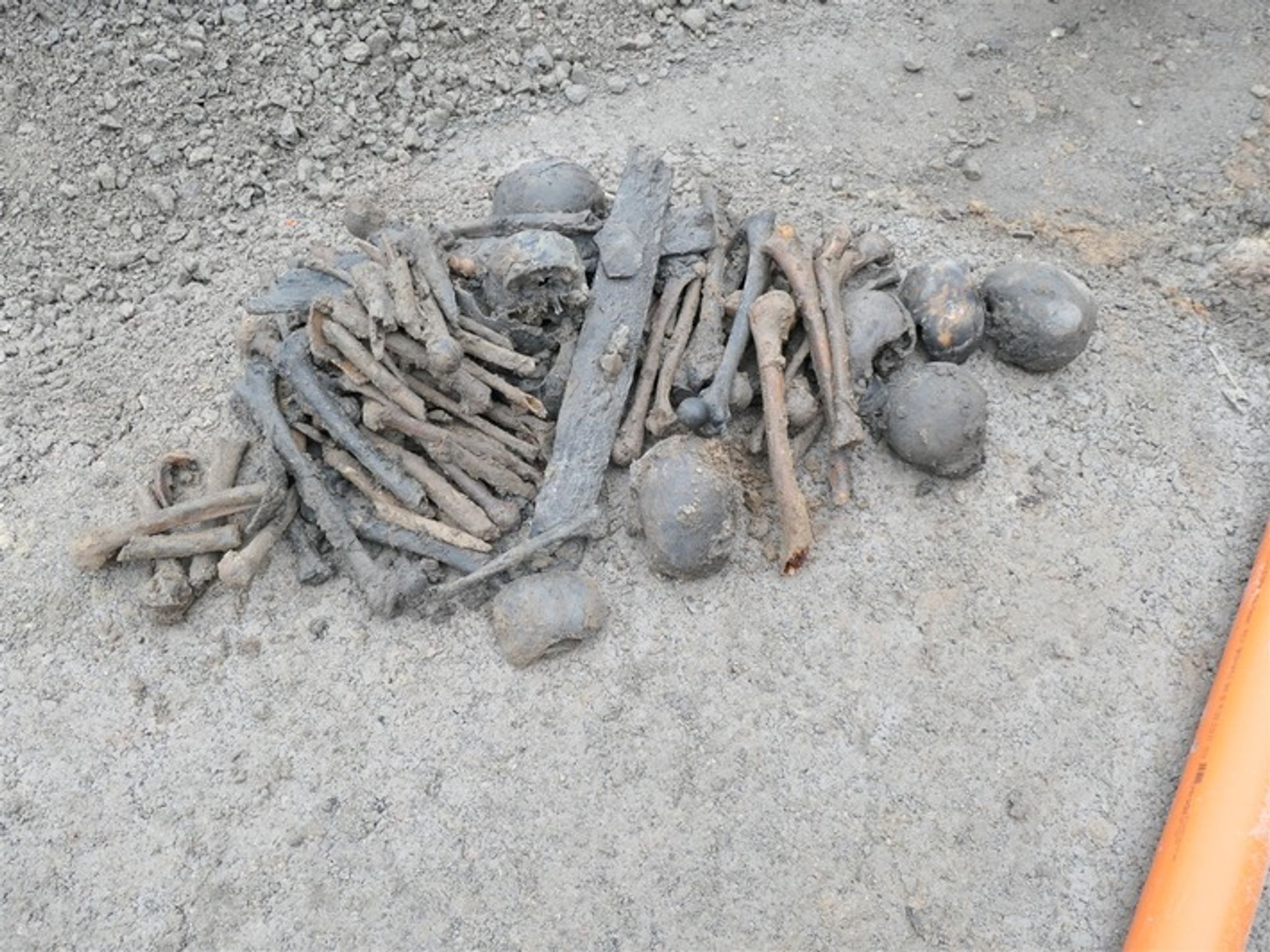 Knochenfund bei Bauarbeiten – Wohl keine Straftat