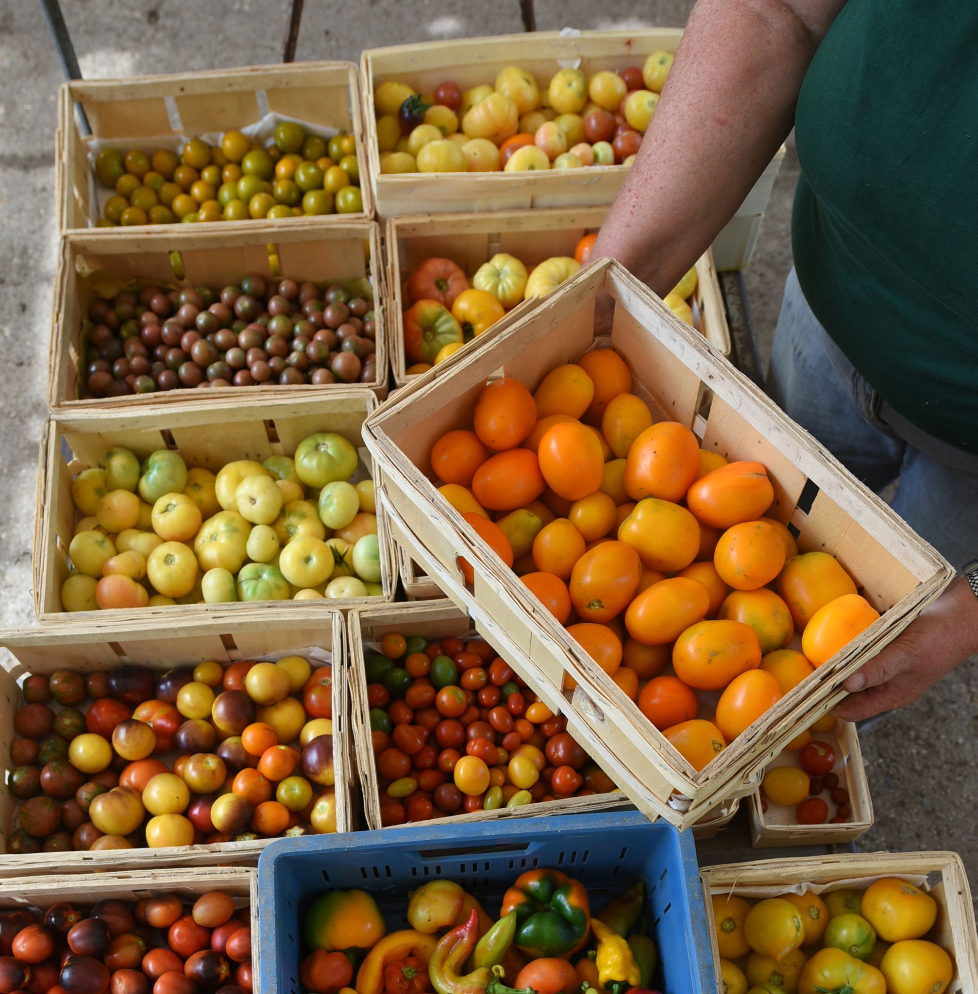 Europaparlament will weniger strenge Regeln für gentechnisch veränderte Lebensmittel