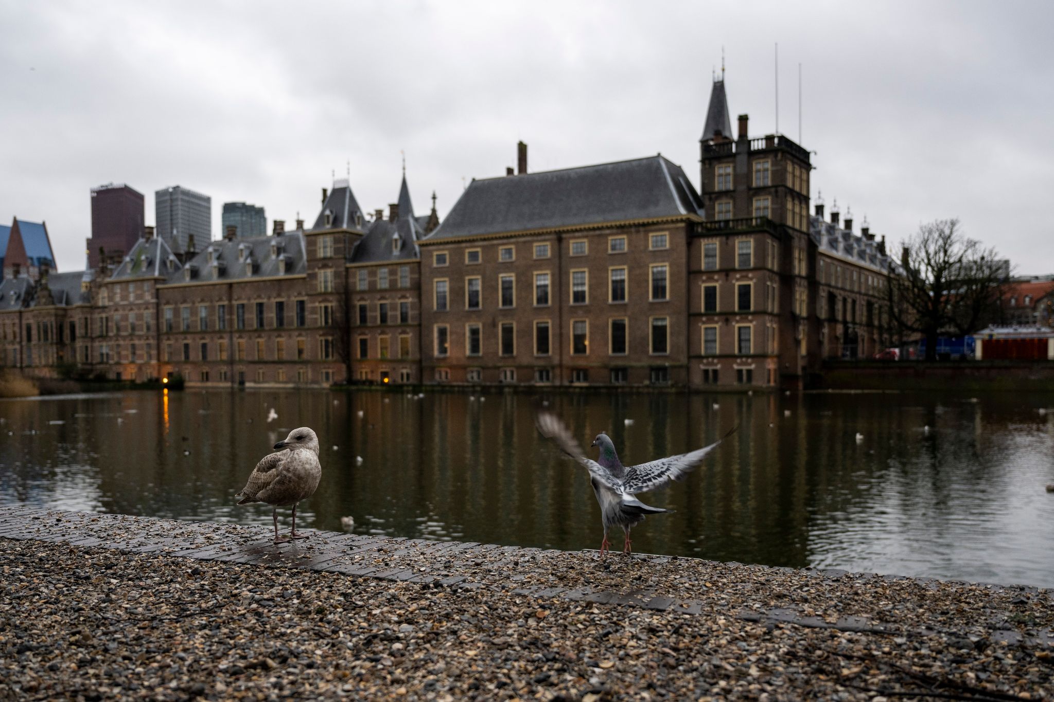 Strenge Regeln gegen Sozialhilfebetrug ruinieren Leben