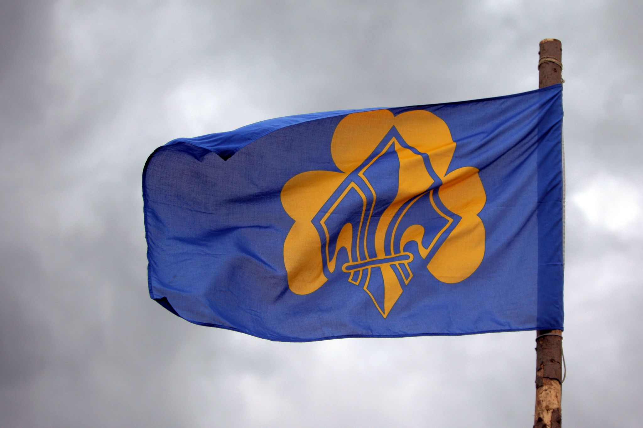 Studie zu sexualisierter Gewalt bei den Pfadfindern