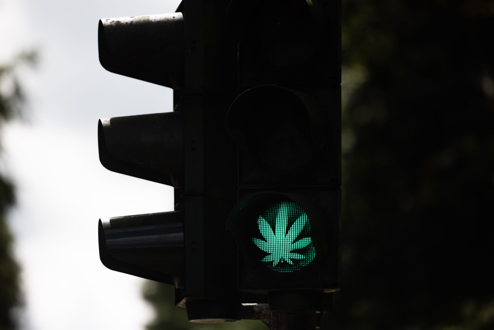 Grünes Licht für Cannabis – mit welchen Regeln?