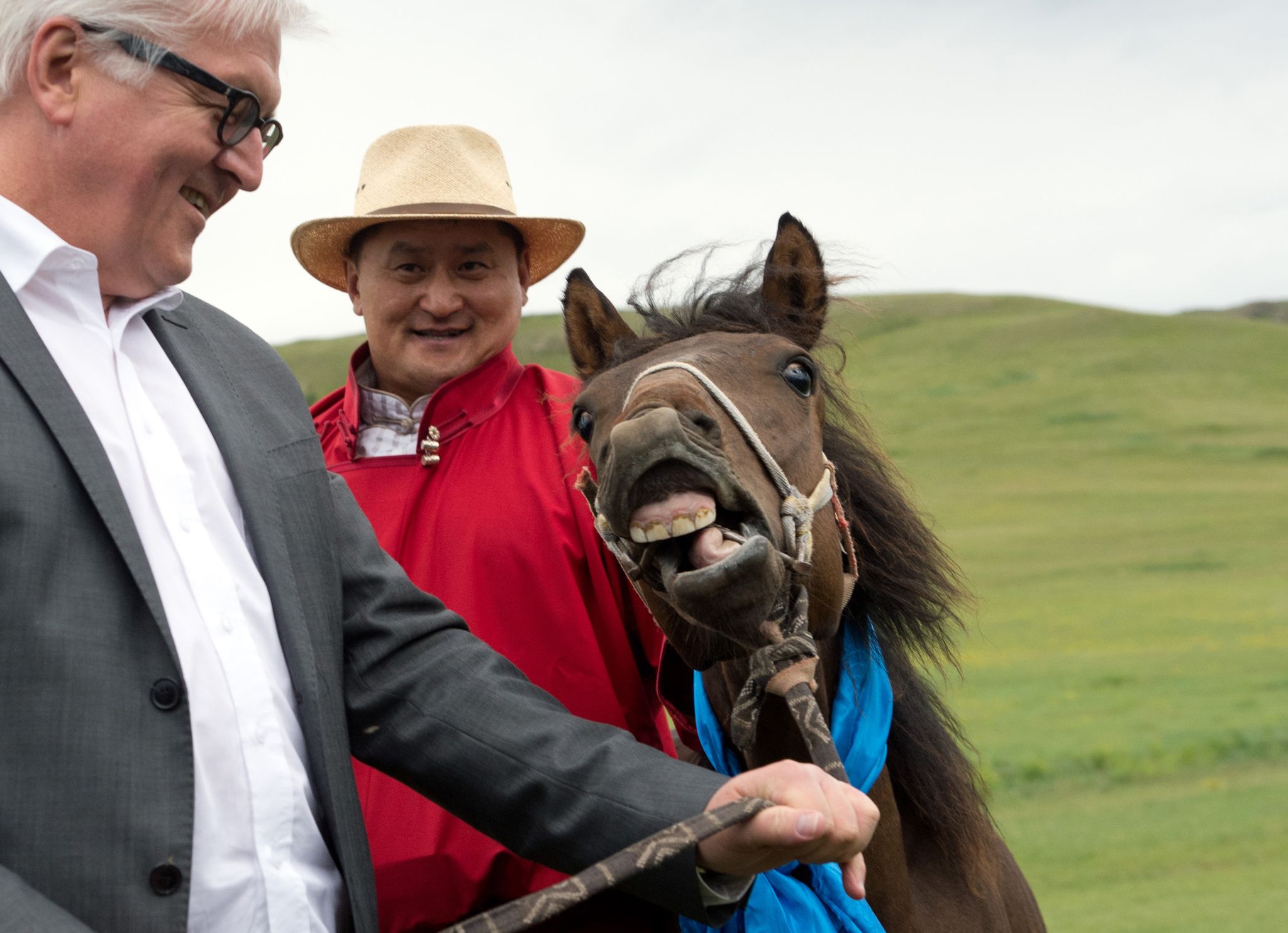 Tierisches Gastgeschenk: Wie geht es Steinmeiers Pferd?