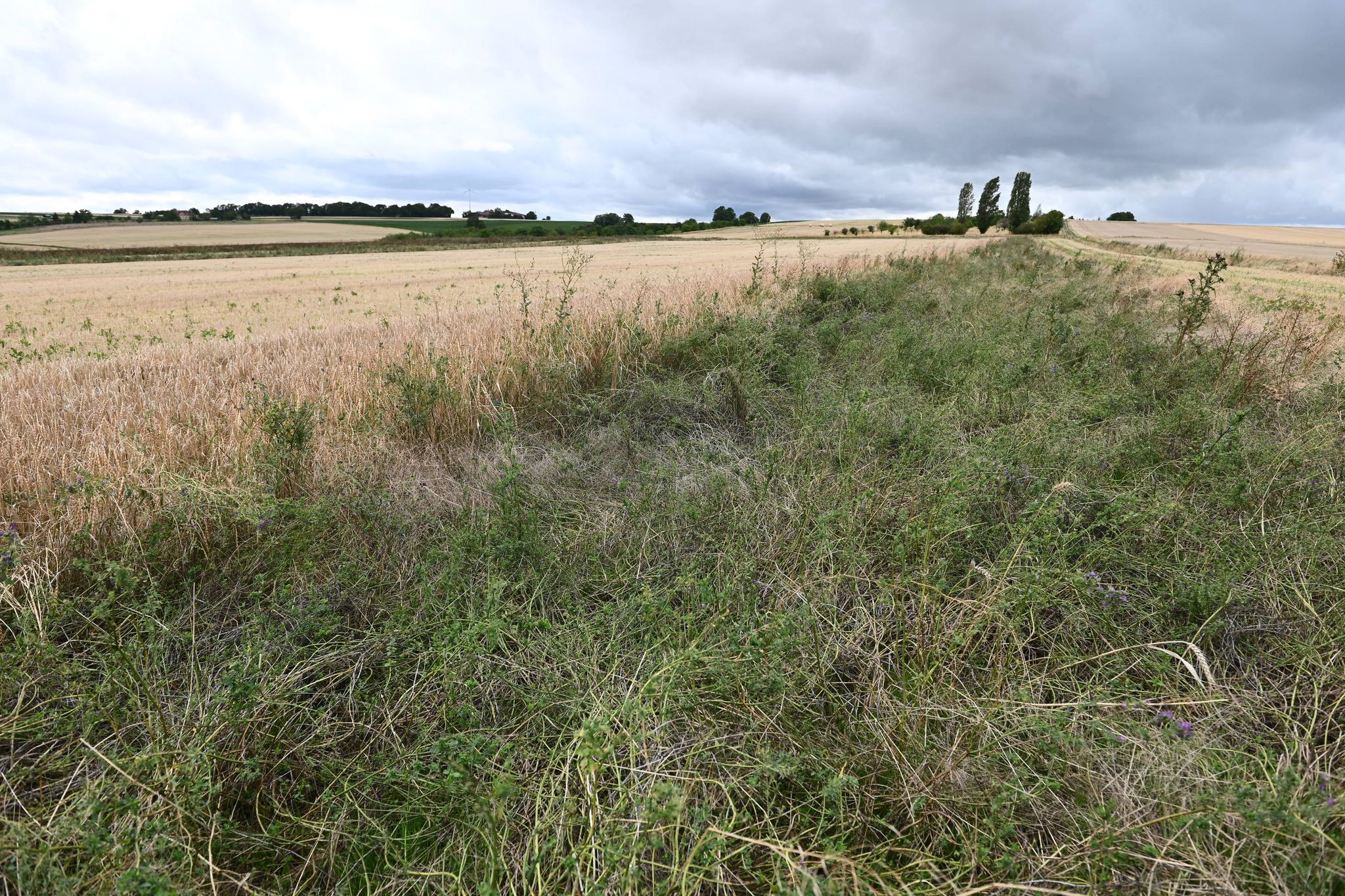 EU-Kommission scheitert an Lockerung von Umweltauflagen für Bauern