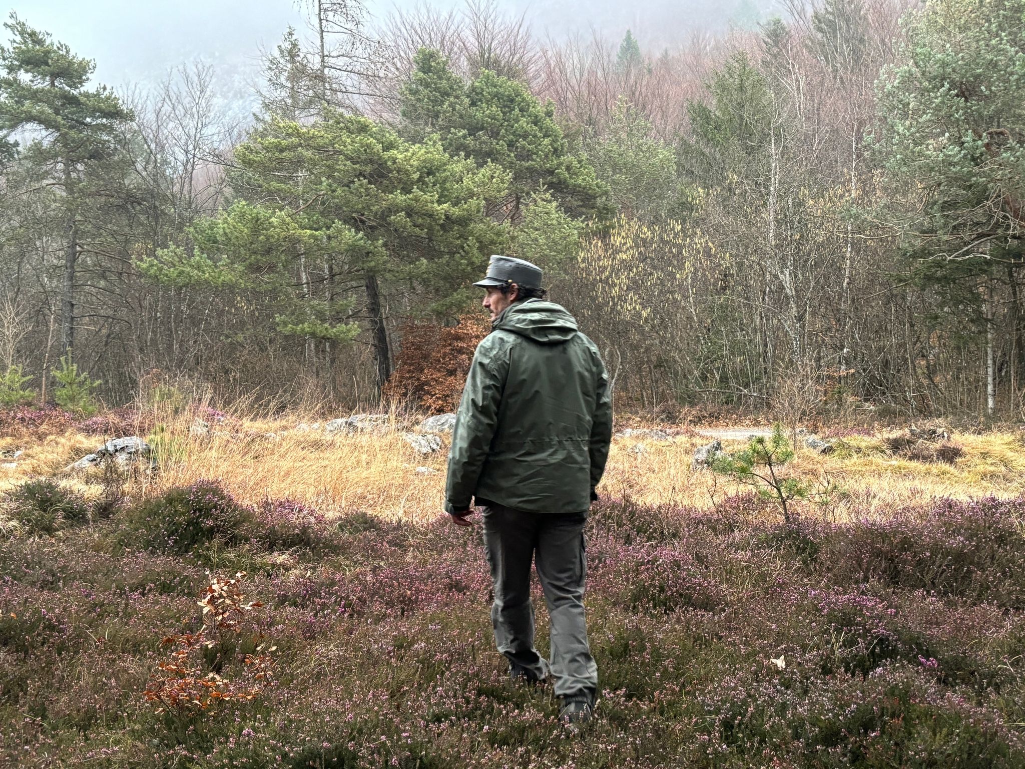 Kein Ende im Streit um Bären im Trentino
