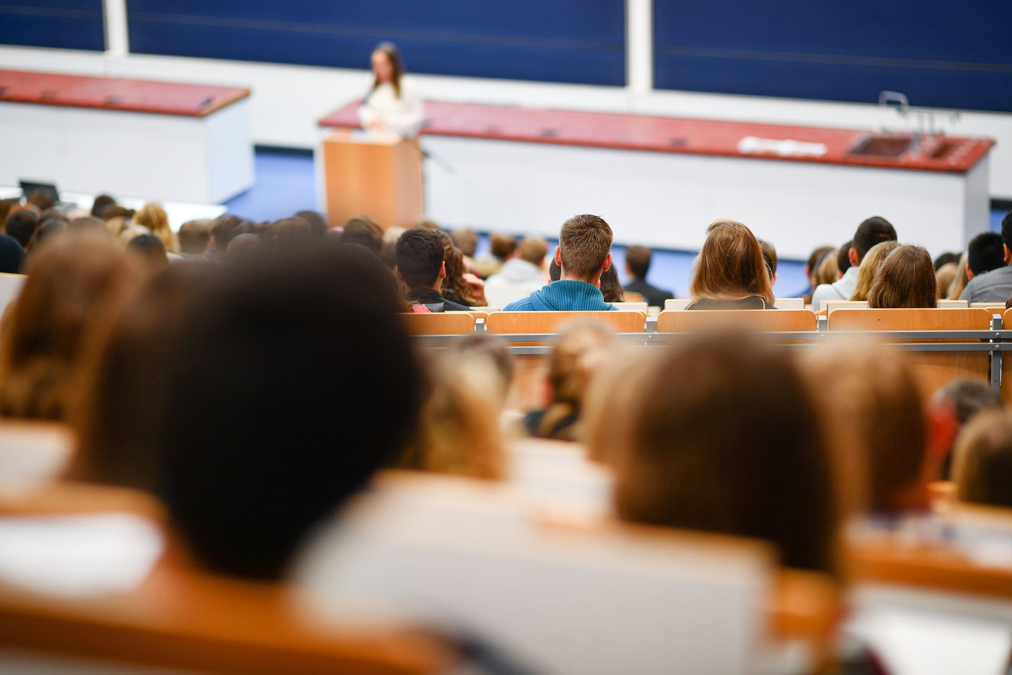 Auswertung: Wieder mehr Erstsemester