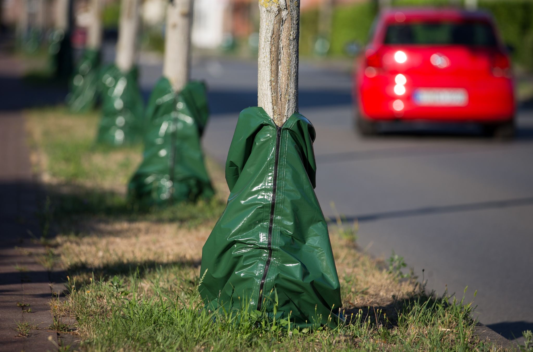 Studie zeigt: Weltbevölkerung ist bereit, für Klimaschutz zu zahlen