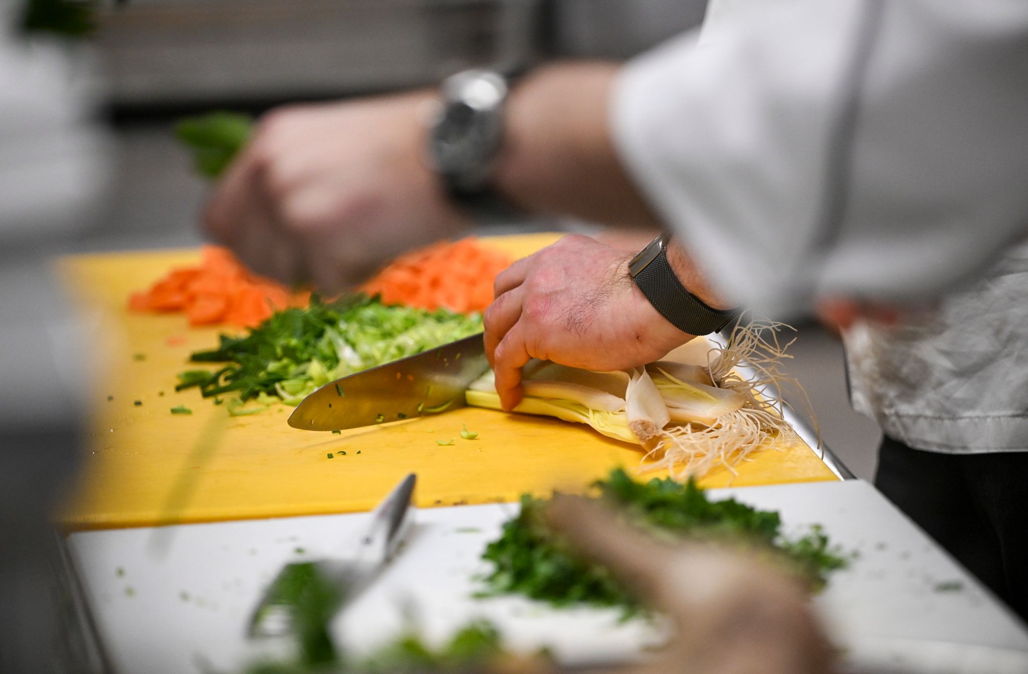 So viele Michelin-Sterne wie nie zuvor